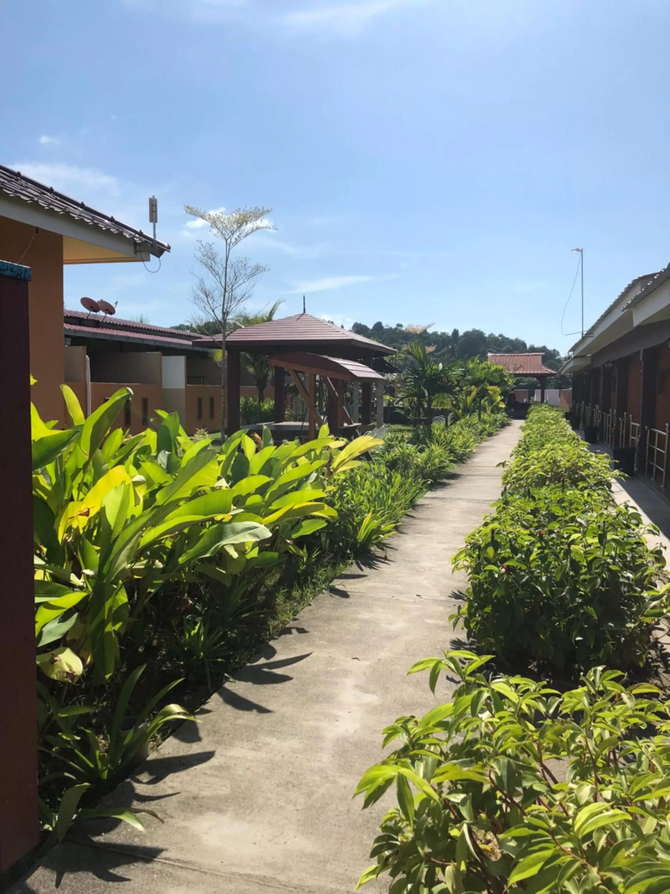 Garden in Chuu Pun Village Resort