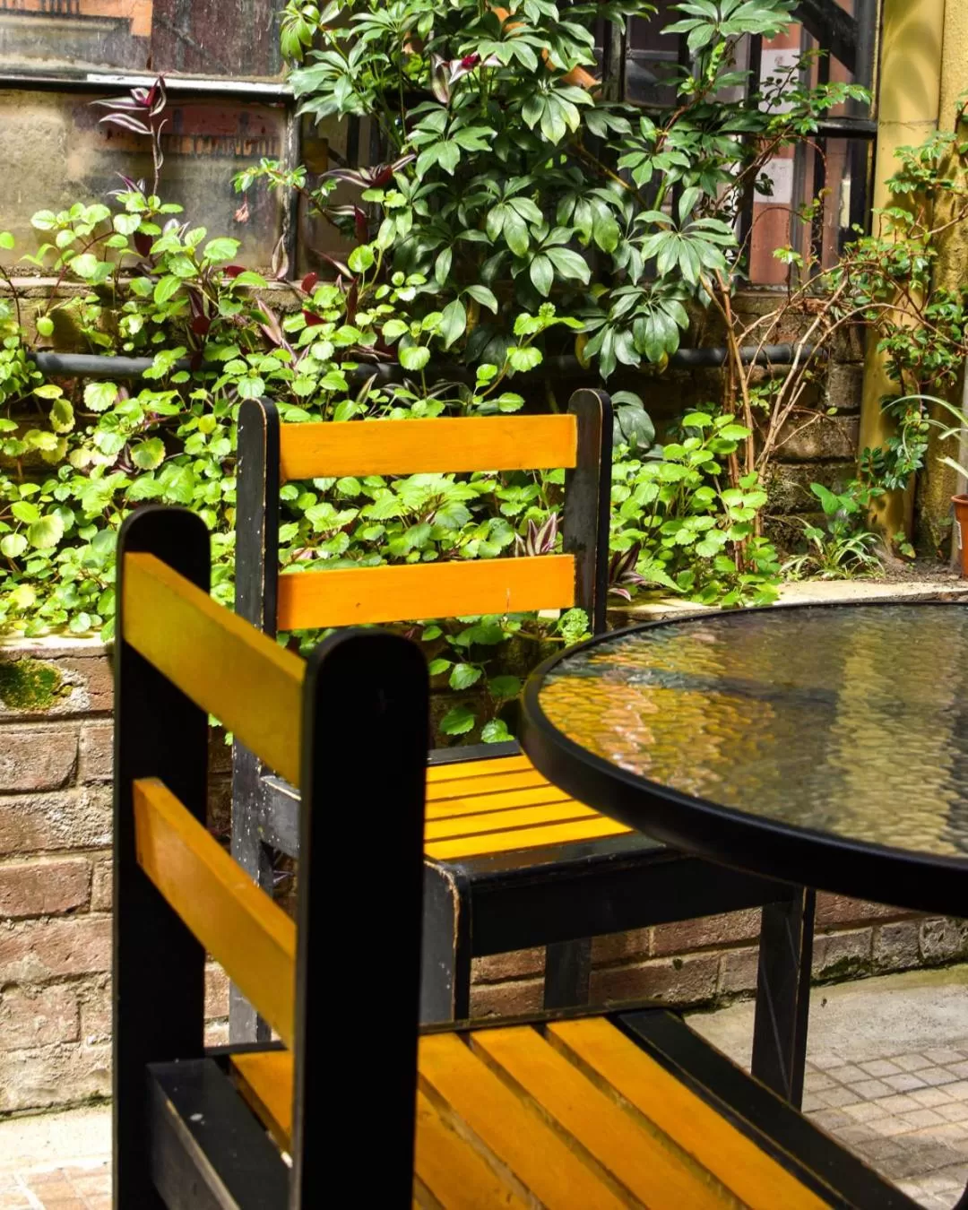 Patio in Casa Elizabeth