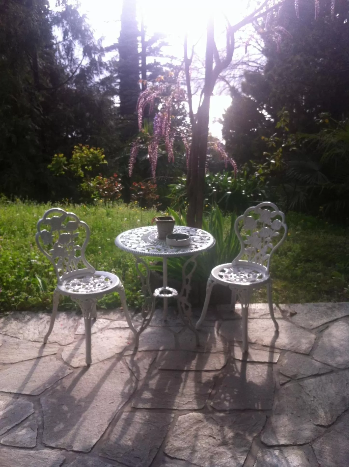 BBQ facilities in B&B Le Ortensie -Lago di Como