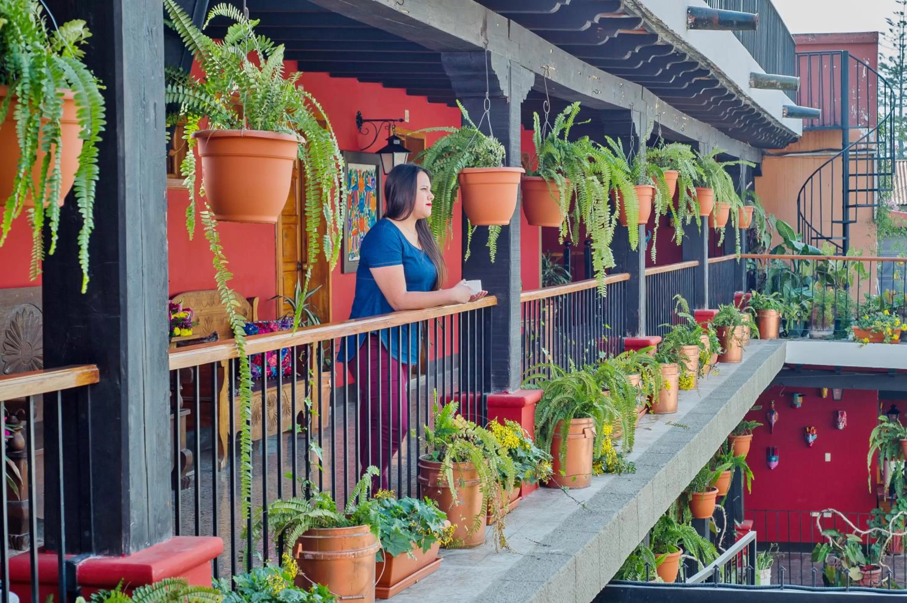 Garden in Hotel Panchoy by AHS
