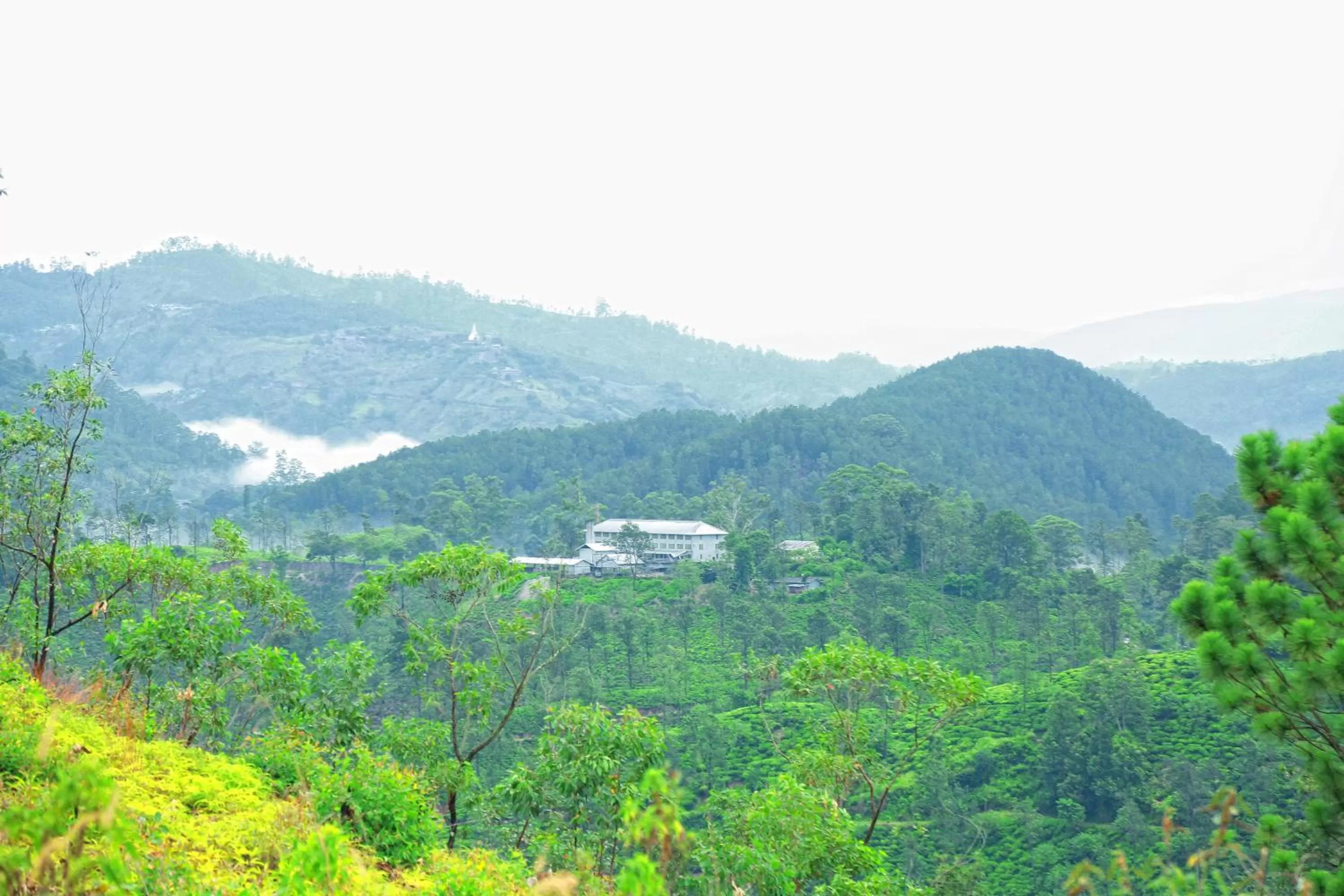Mountain view in Box on clouds