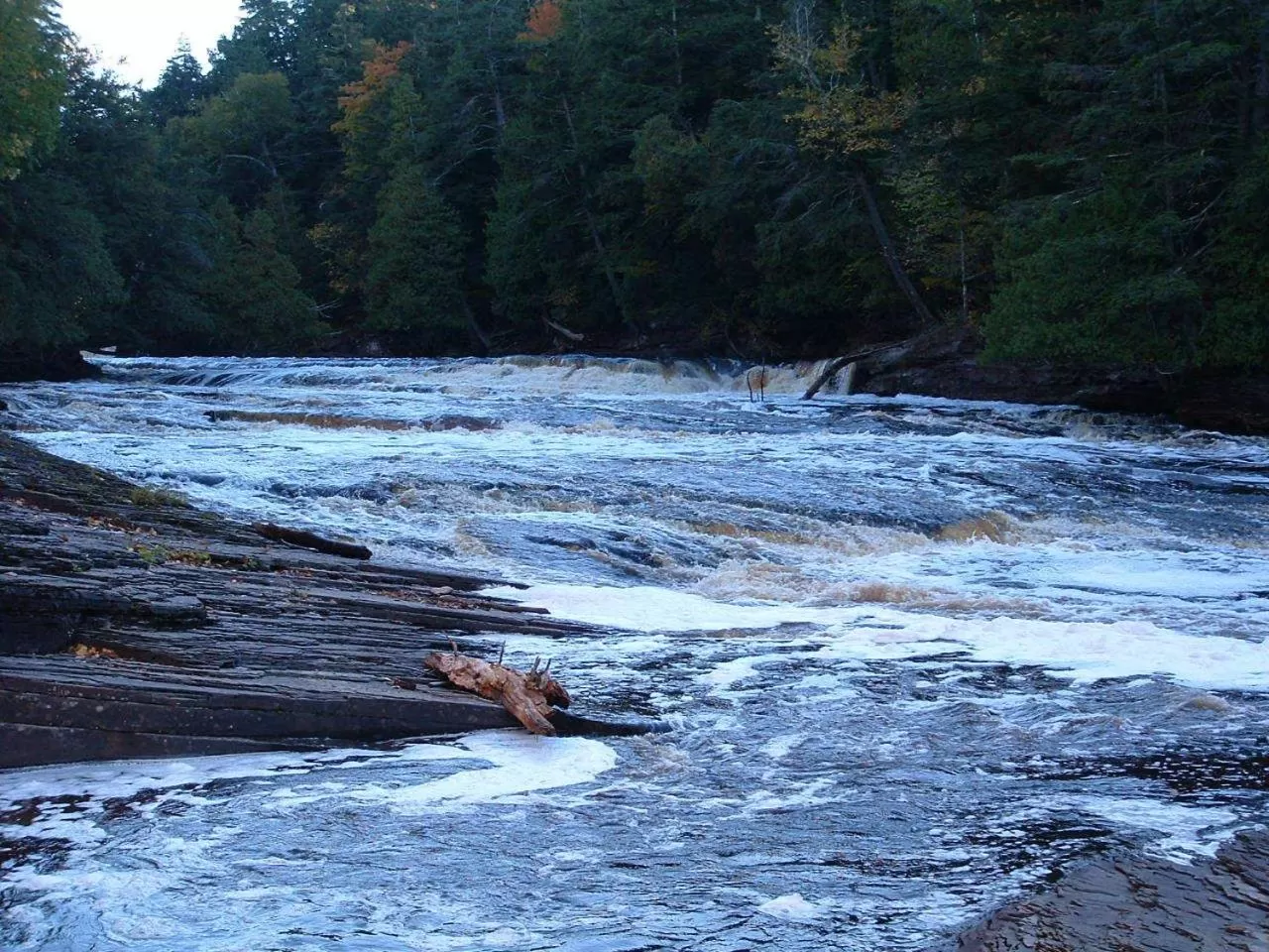 Natural landscape in Budget Host Inn