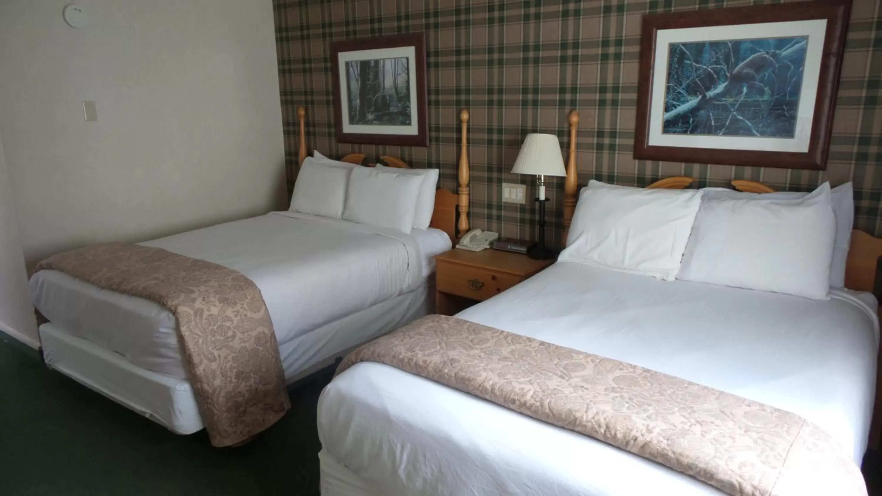 Double Room with Two Double Beds in Green Granite Inn, Ascend Hotel Collection Double Room with Two Double Beds in Green Granite Inn, Ascend Hotel Collection