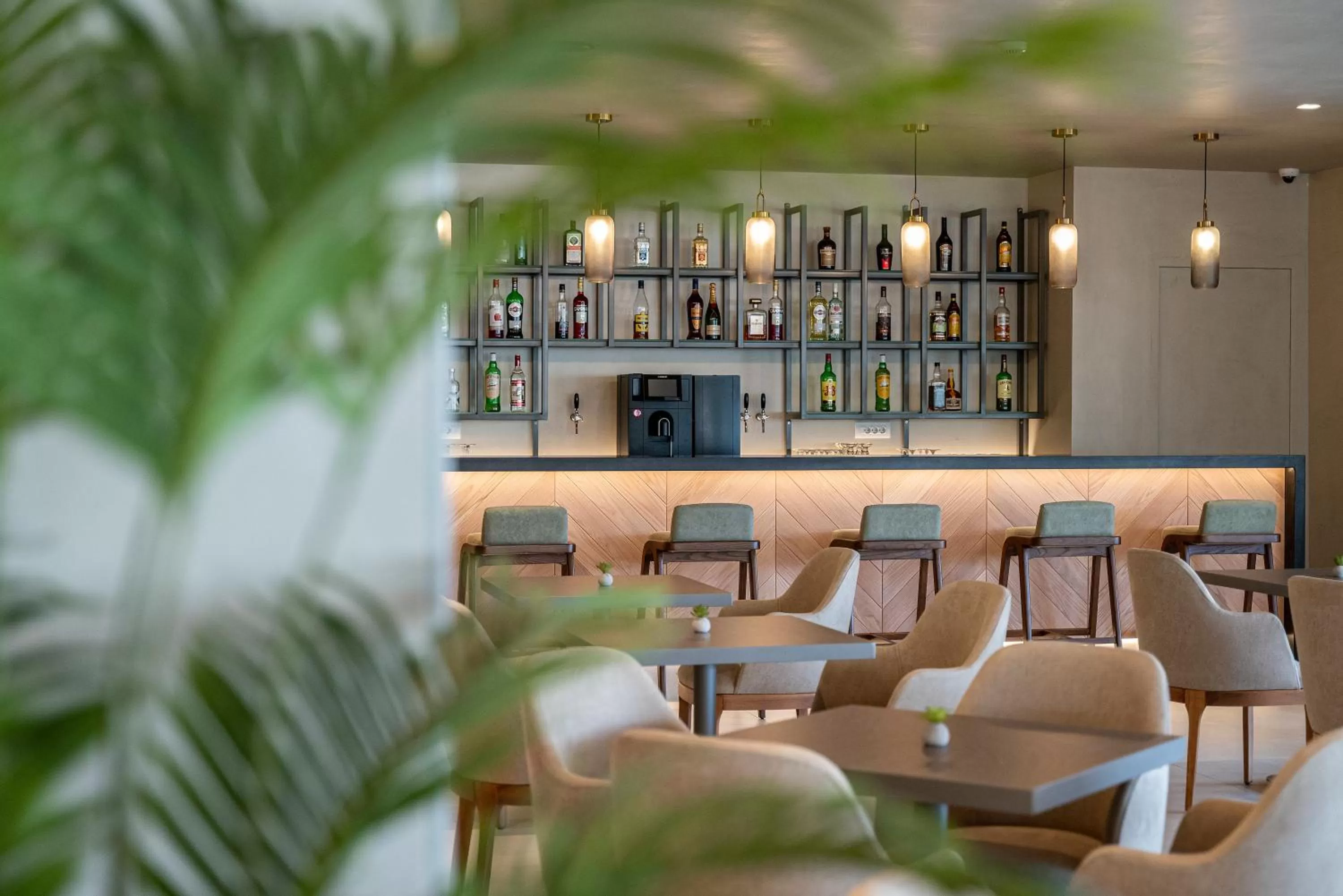 Lounge or bar in Apollon Hotel