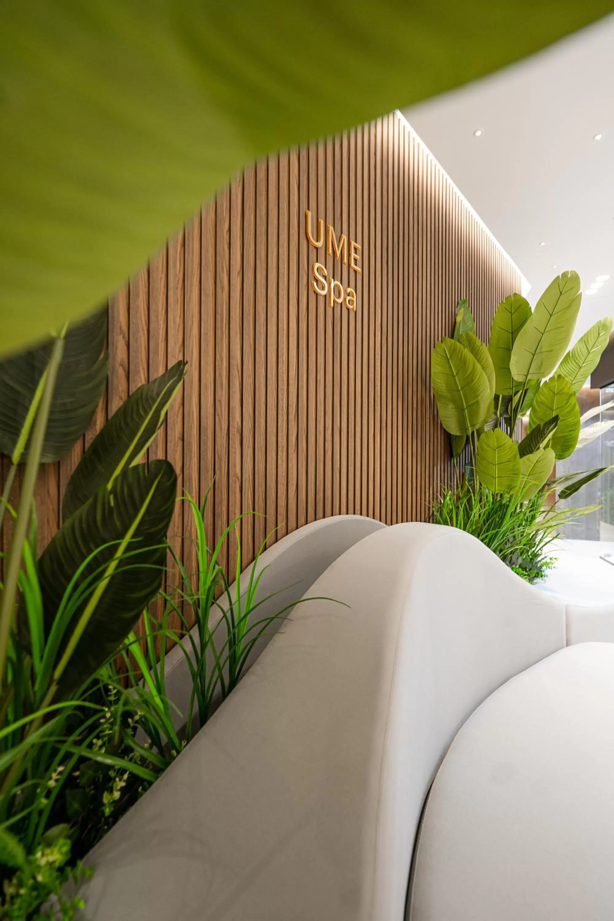 Spa and wellness centre/facilities in Hotel Elisa Tirana, Affiliated by Meliá