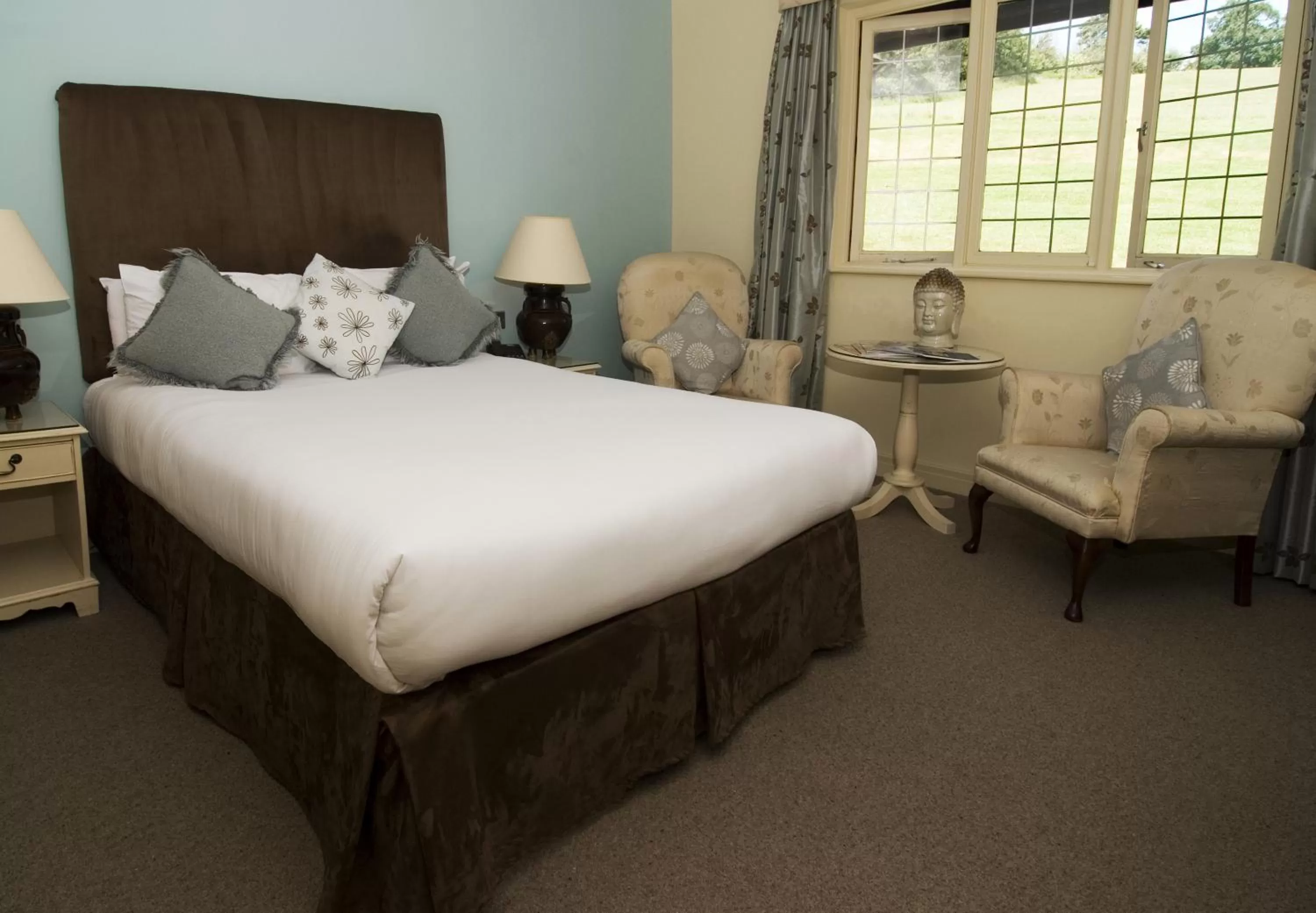 Standard Double Room in Cwrt Bleddyn Hotel & Spa