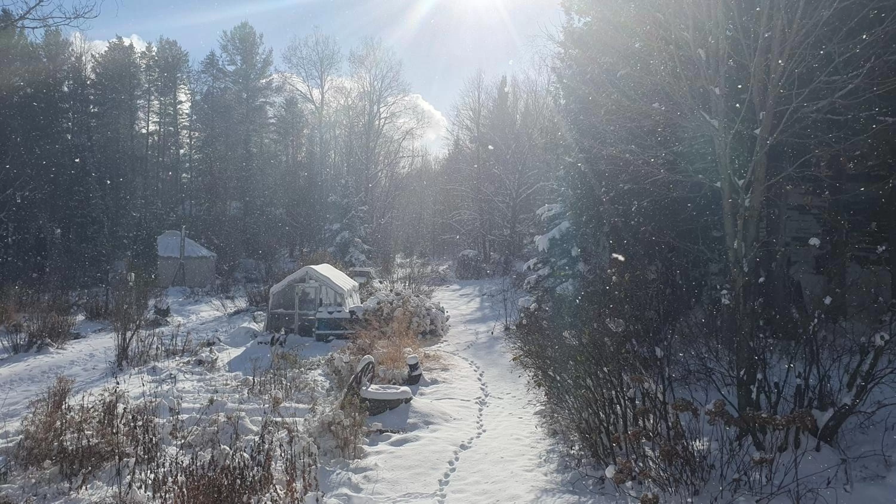 Natural landscape in Le Salon des Inconnus