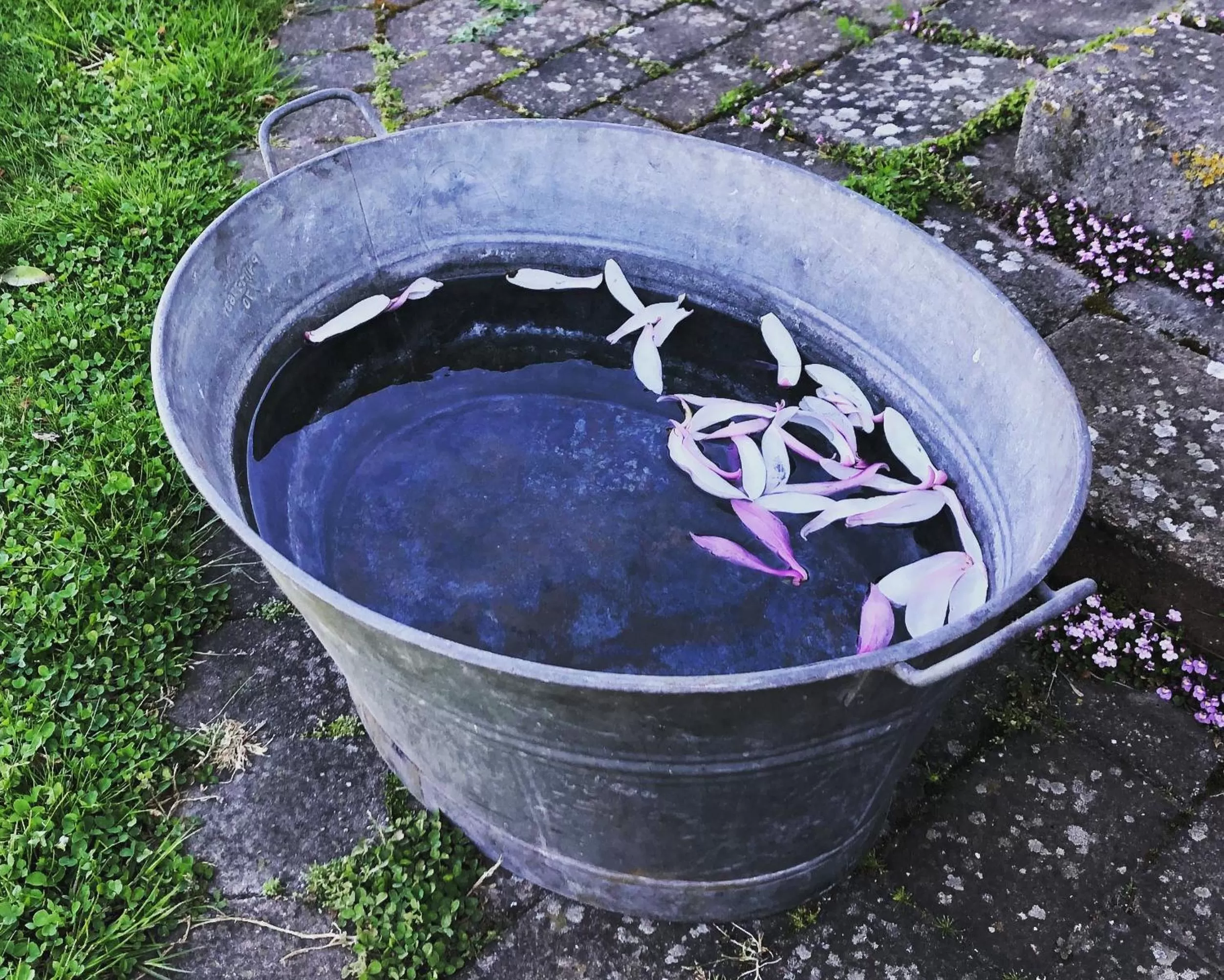 Glimminge Bed & Breakfast