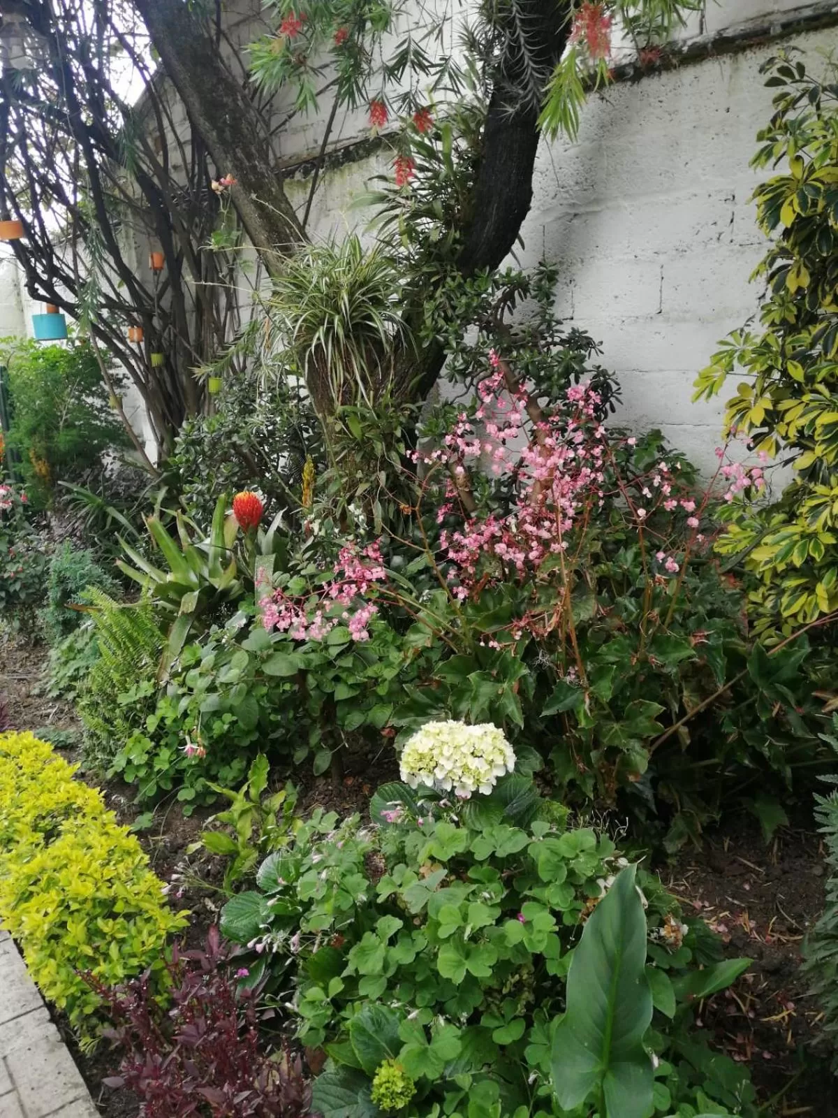 Garden in Casatodosantos