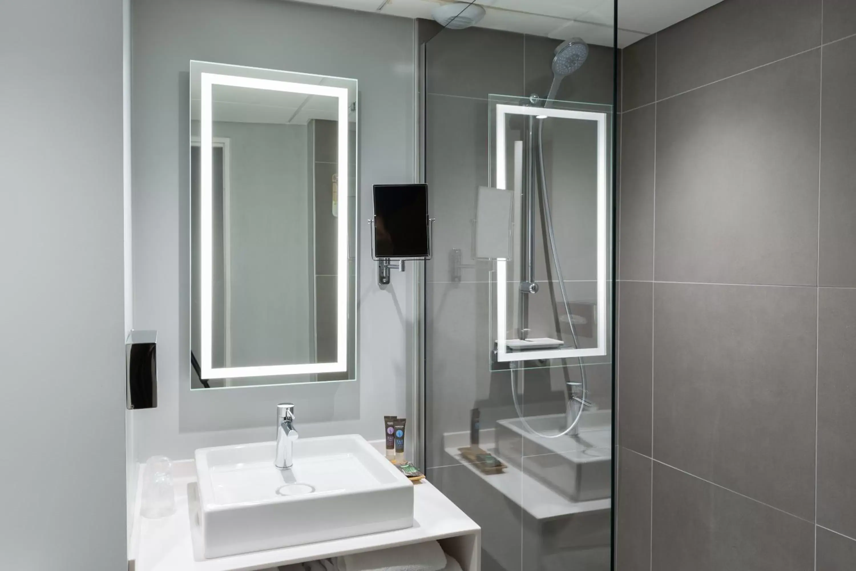 Classic Double Room with Double Sofa Bed in Novotel Poitiers Site du Futuroscope Classic Double Room with Double Sofa Bed in Novotel Poitiers Site du Futuroscope