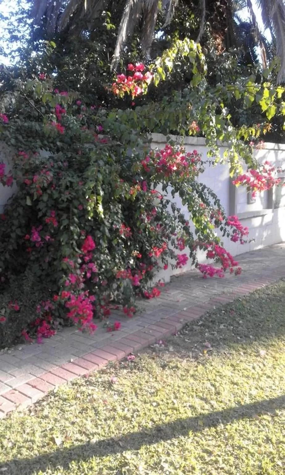 Facade/entrance in Poetry Guestrooms