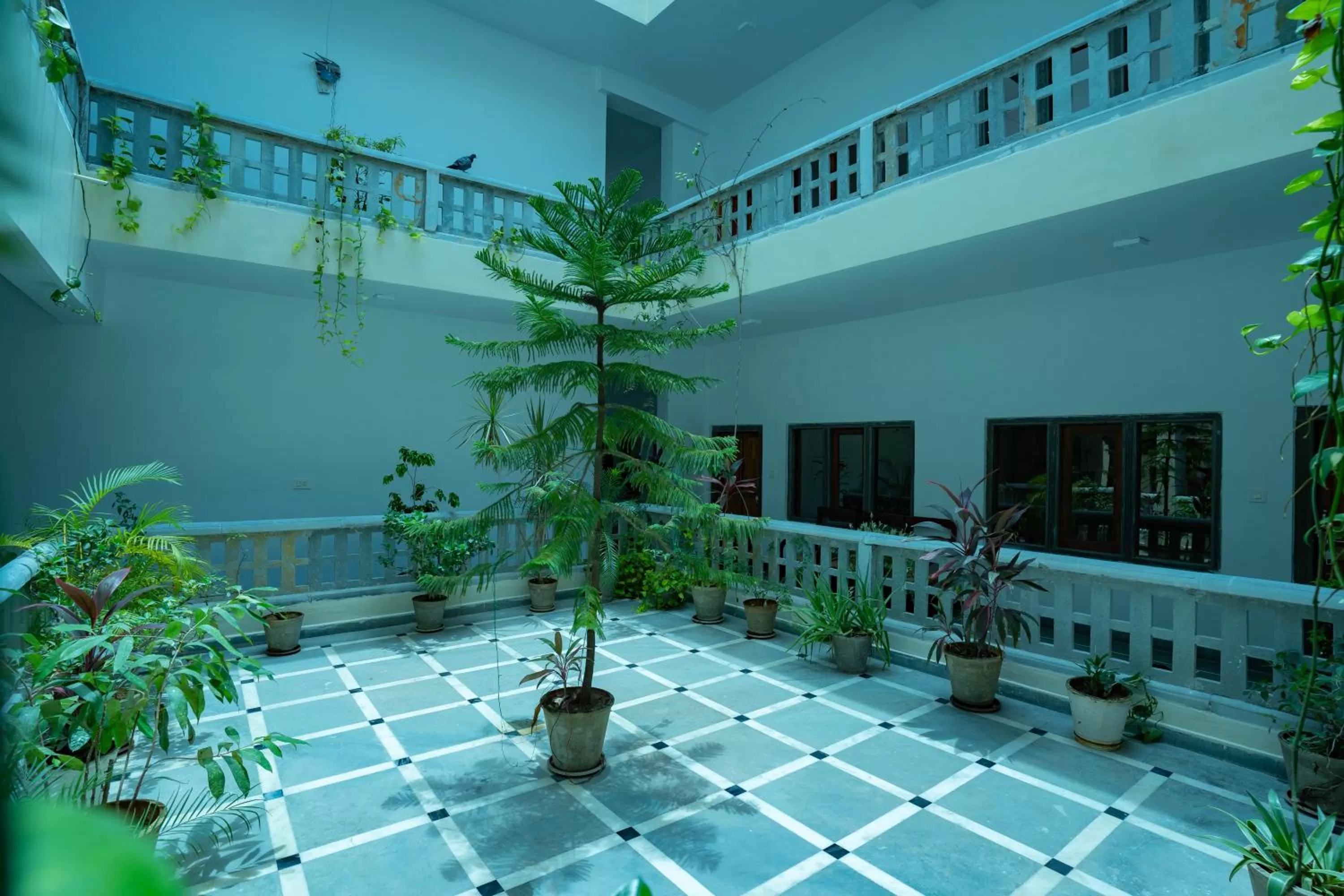 Patio in Tripli Hotels Shiv Villas