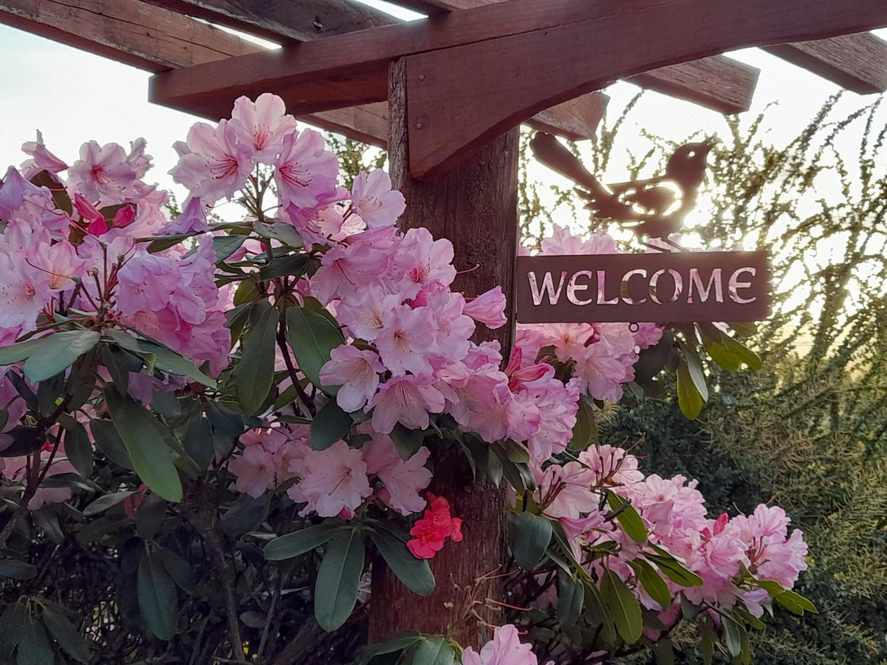 Hillside Bed and Breakfast