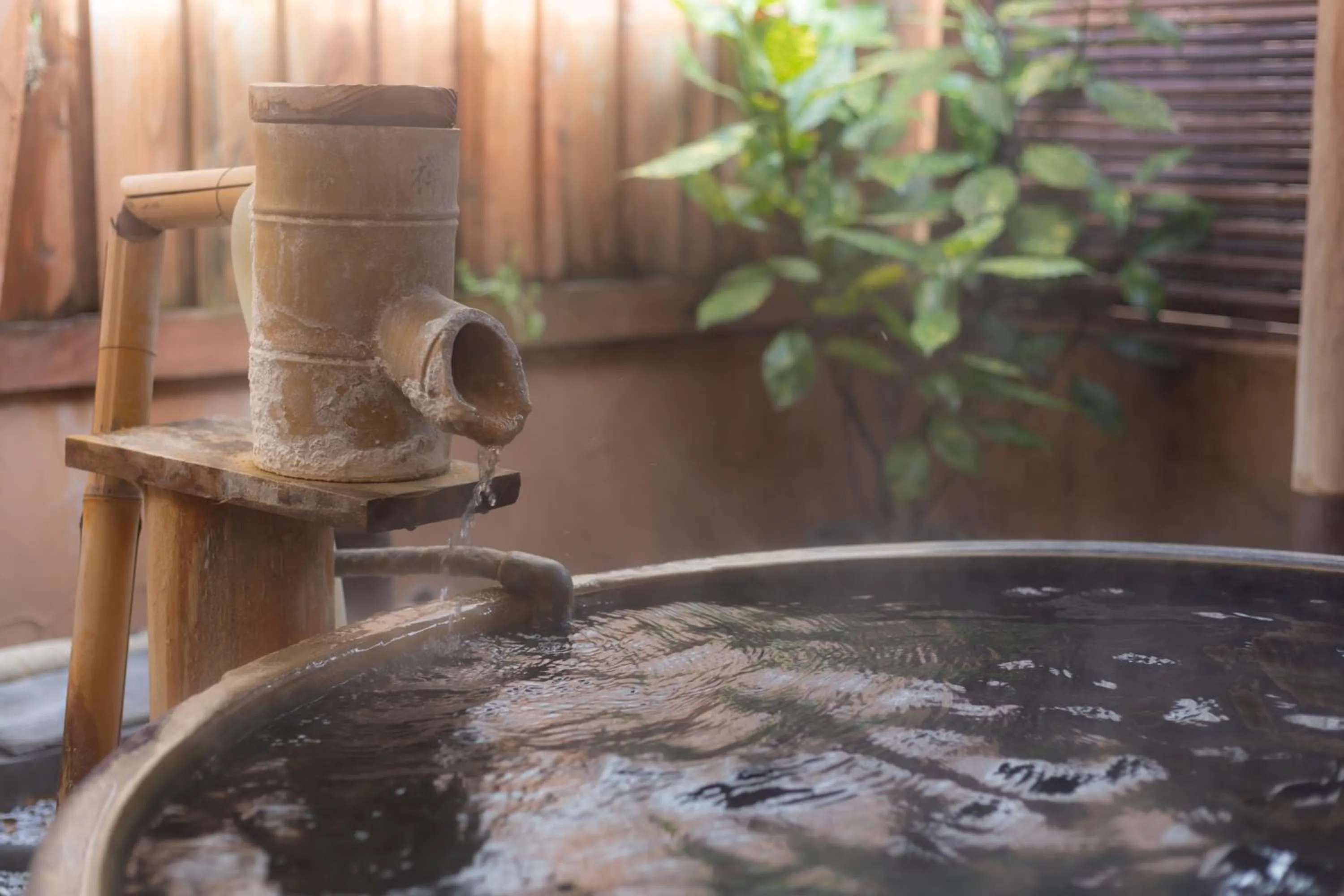 Hot Spring Bath in Oyado Ichizen