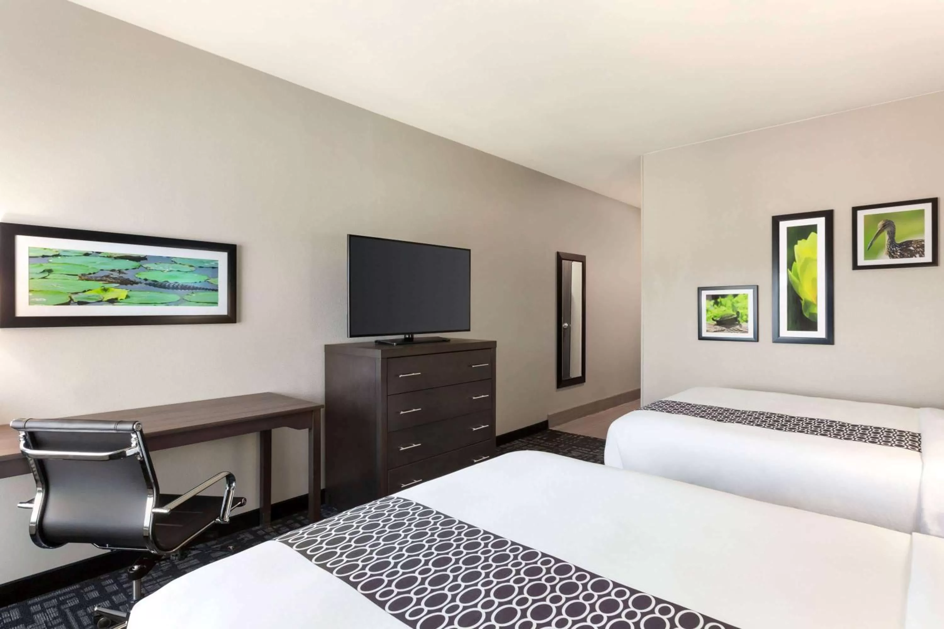 Photo of the whole room, Bed in La Quinta by Wyndham Gainesville