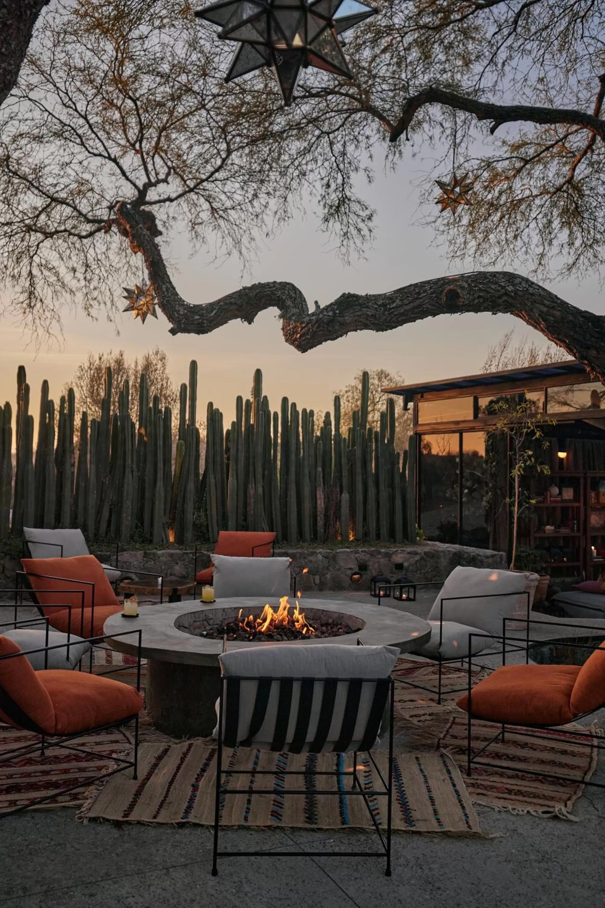 Restaurant/places to eat in Our Habitas San Miguel de Allende