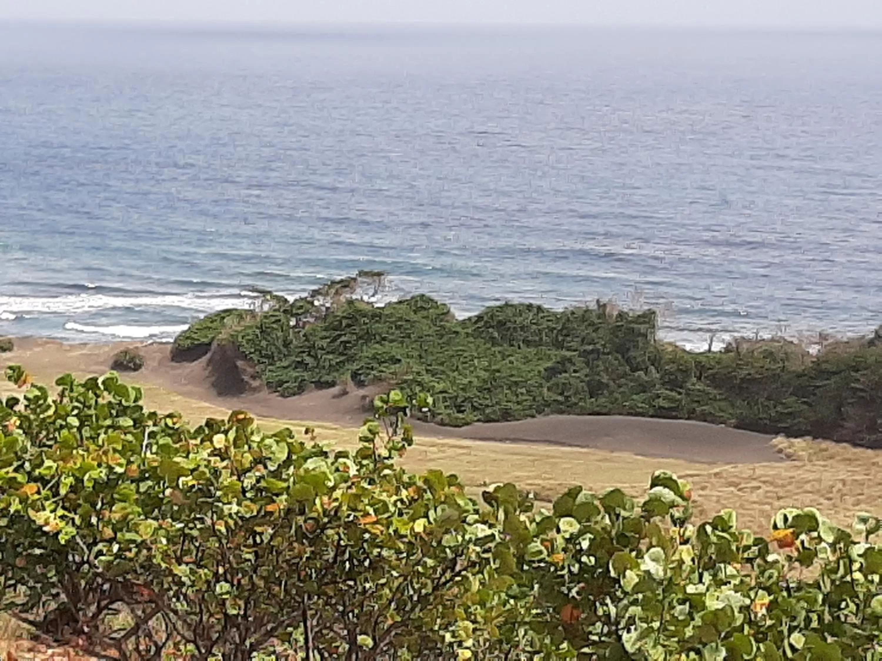 Natural landscape in The Milligan