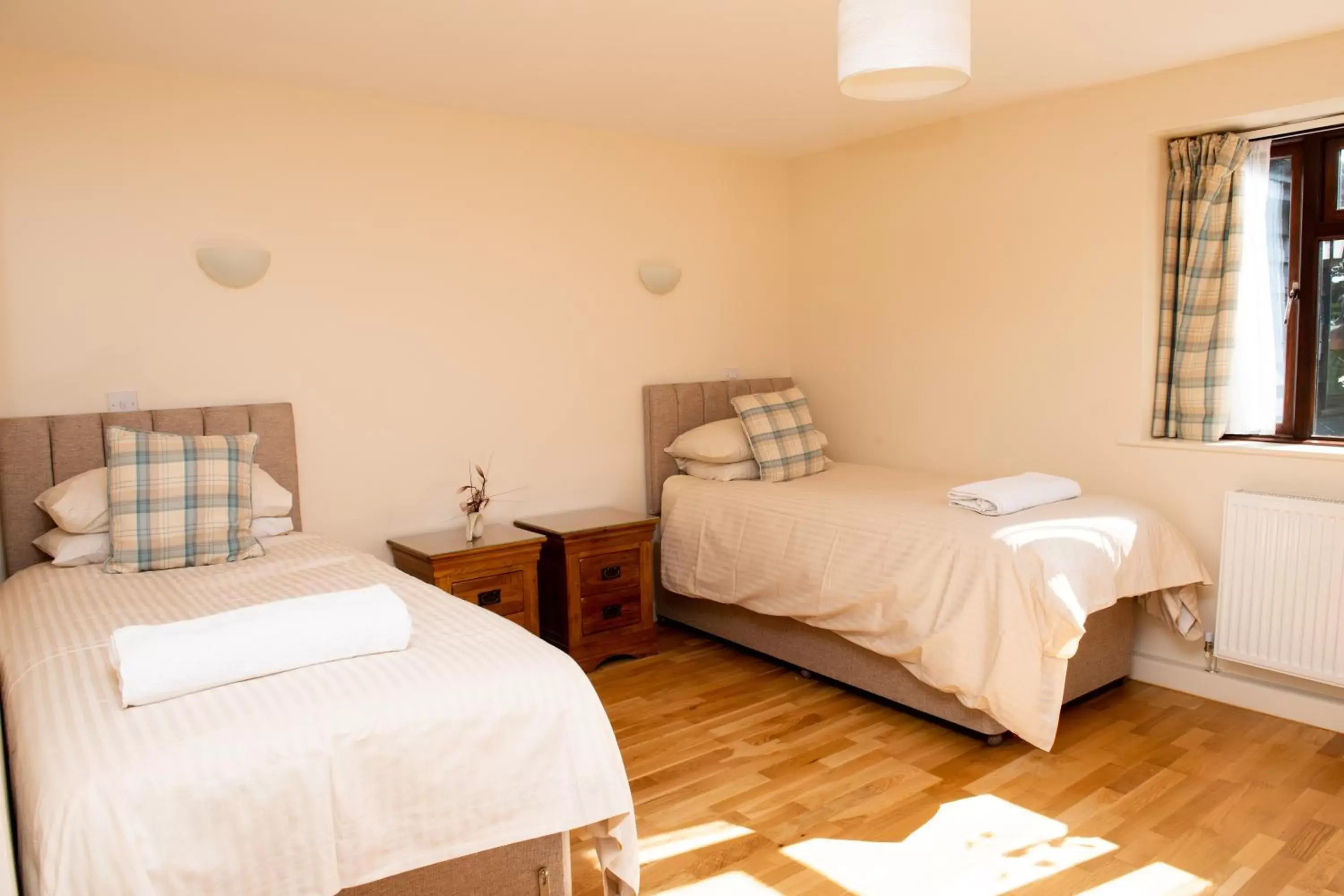 Twin Room - single occupancy in The Black Horse Inn Twin Room - single occupancy in The Black Horse Inn