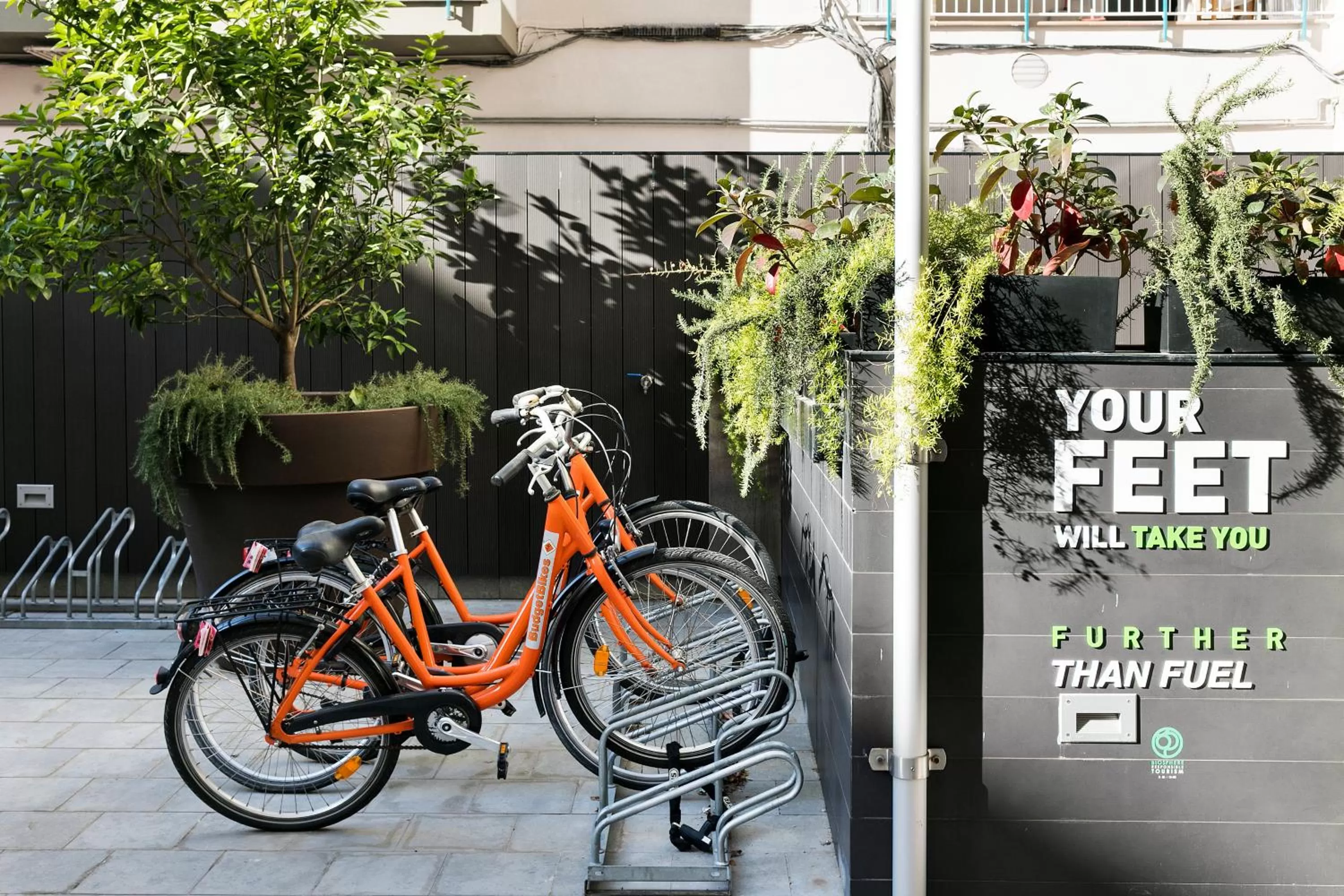 Decorative detail in Andante Hotel