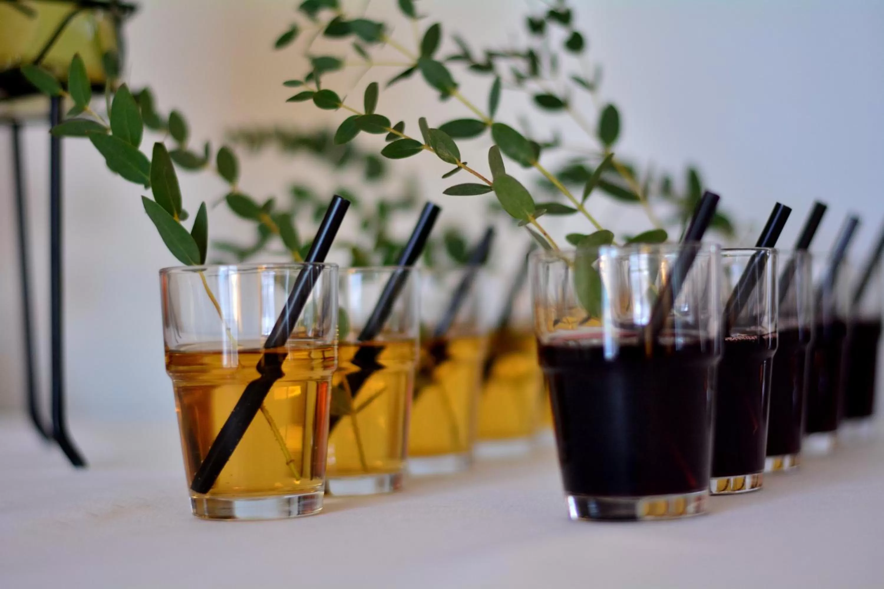 Hotel Rezydencja Solei