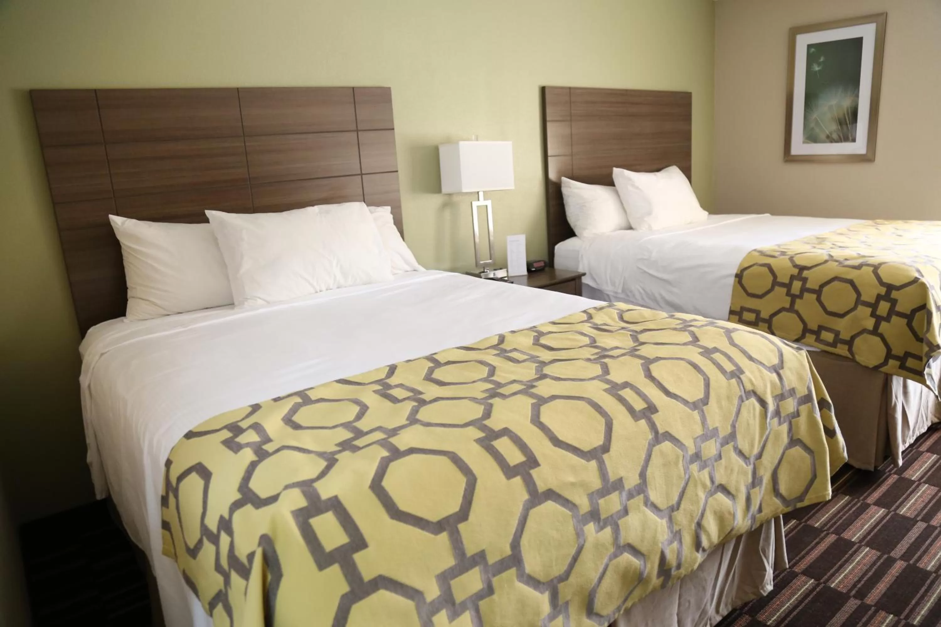 Bed in Baymont by Wyndham Plano