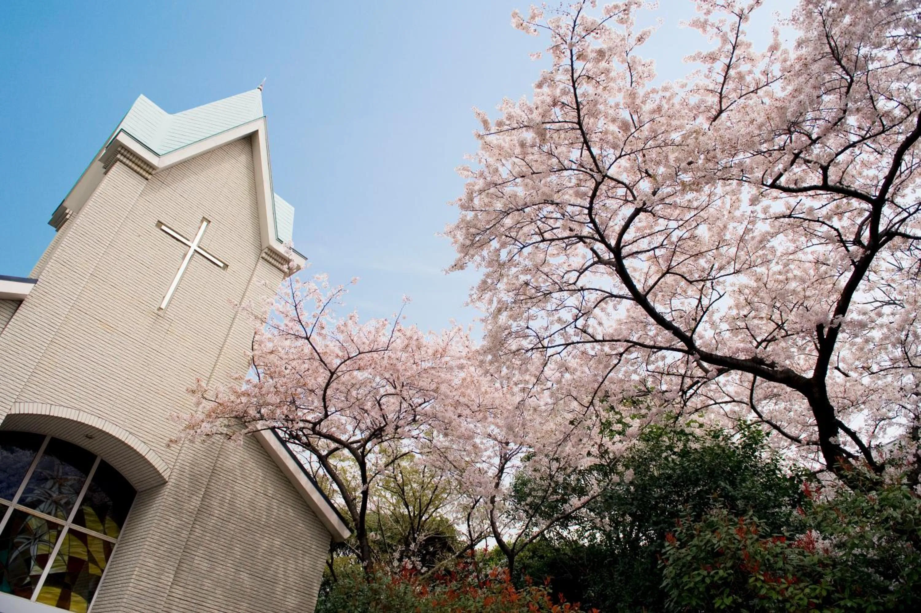 Area and facilities in Hotel Gajoen Tokyo