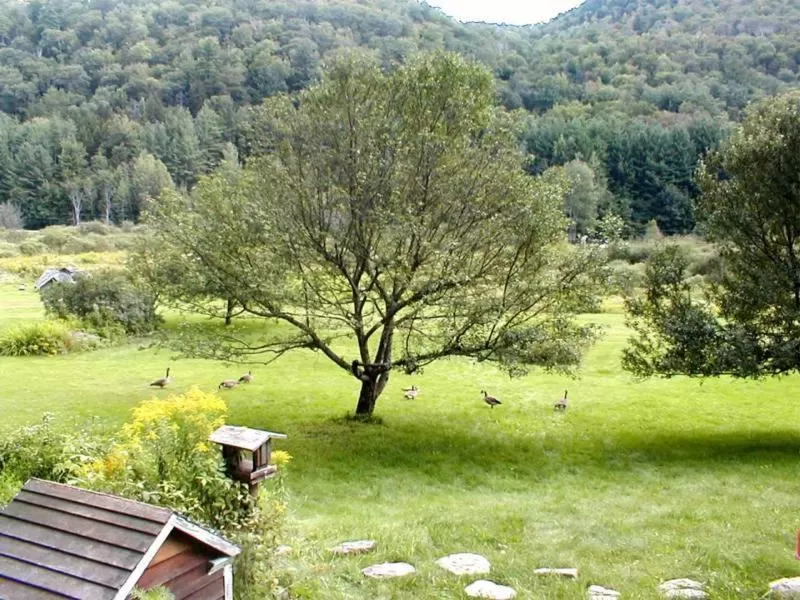 Area and facilities in Mountain Valley Retreat