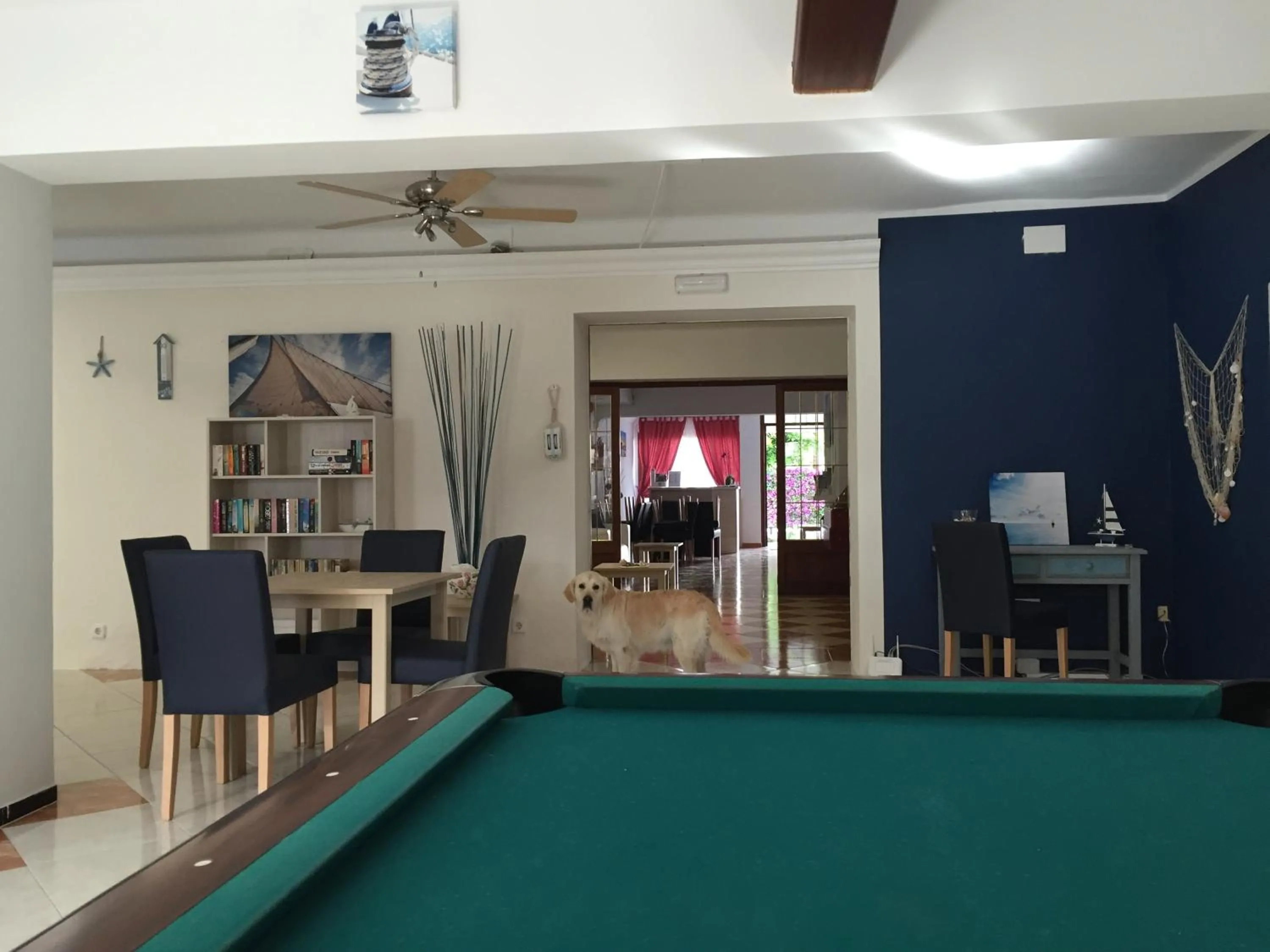 Pets in Hotel Antares