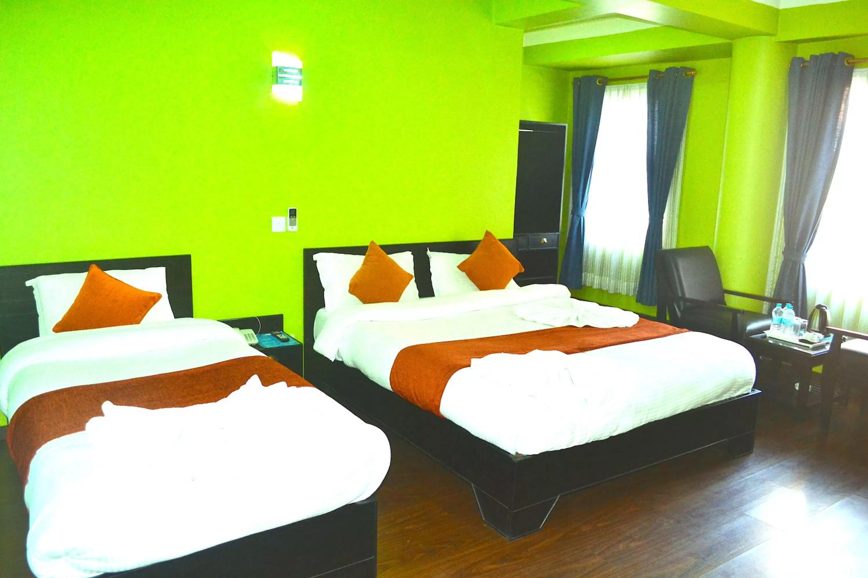 Photo of the whole room in Hotel Access Nepal