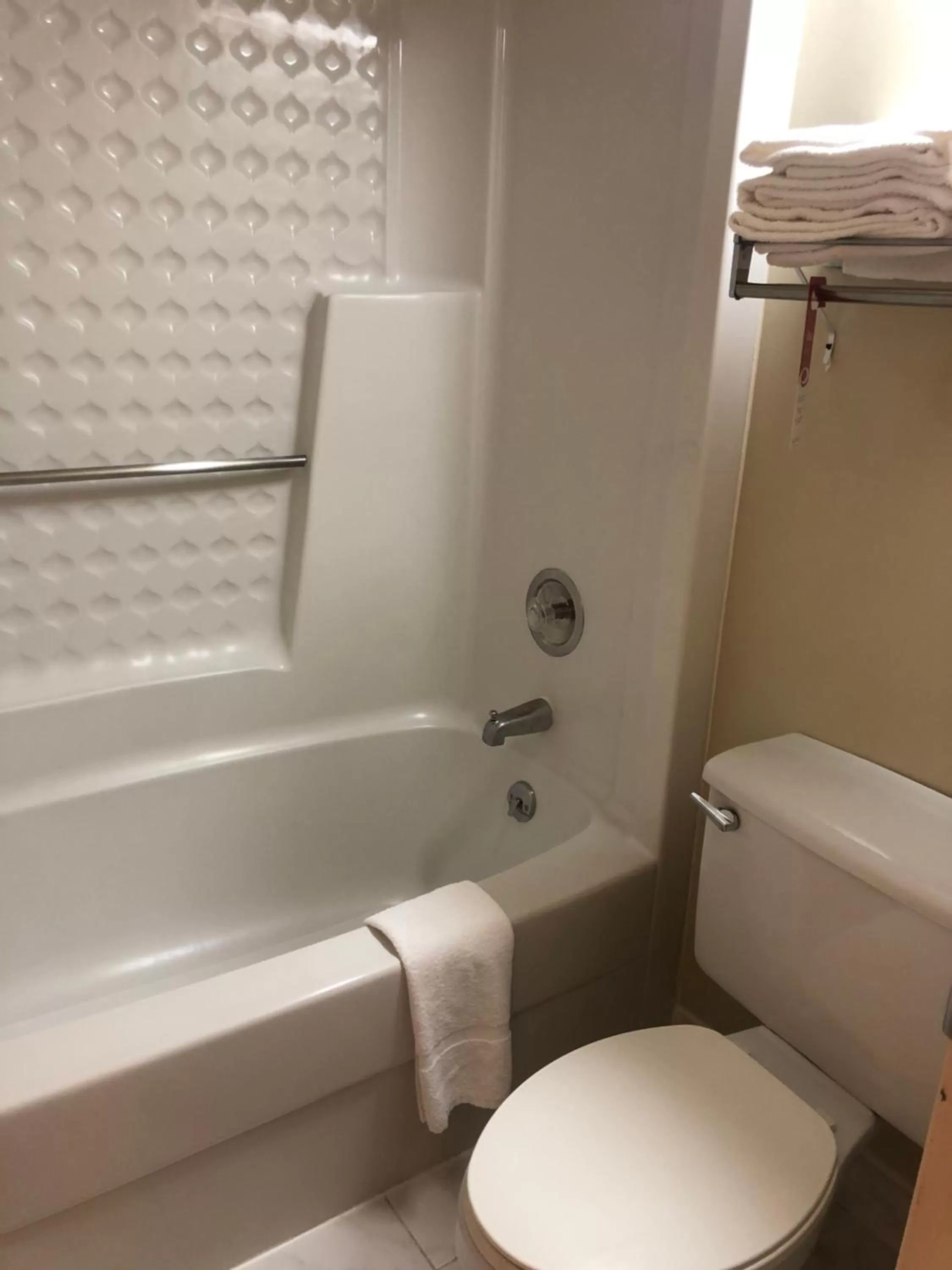 Bath in Econo Lodge Metro