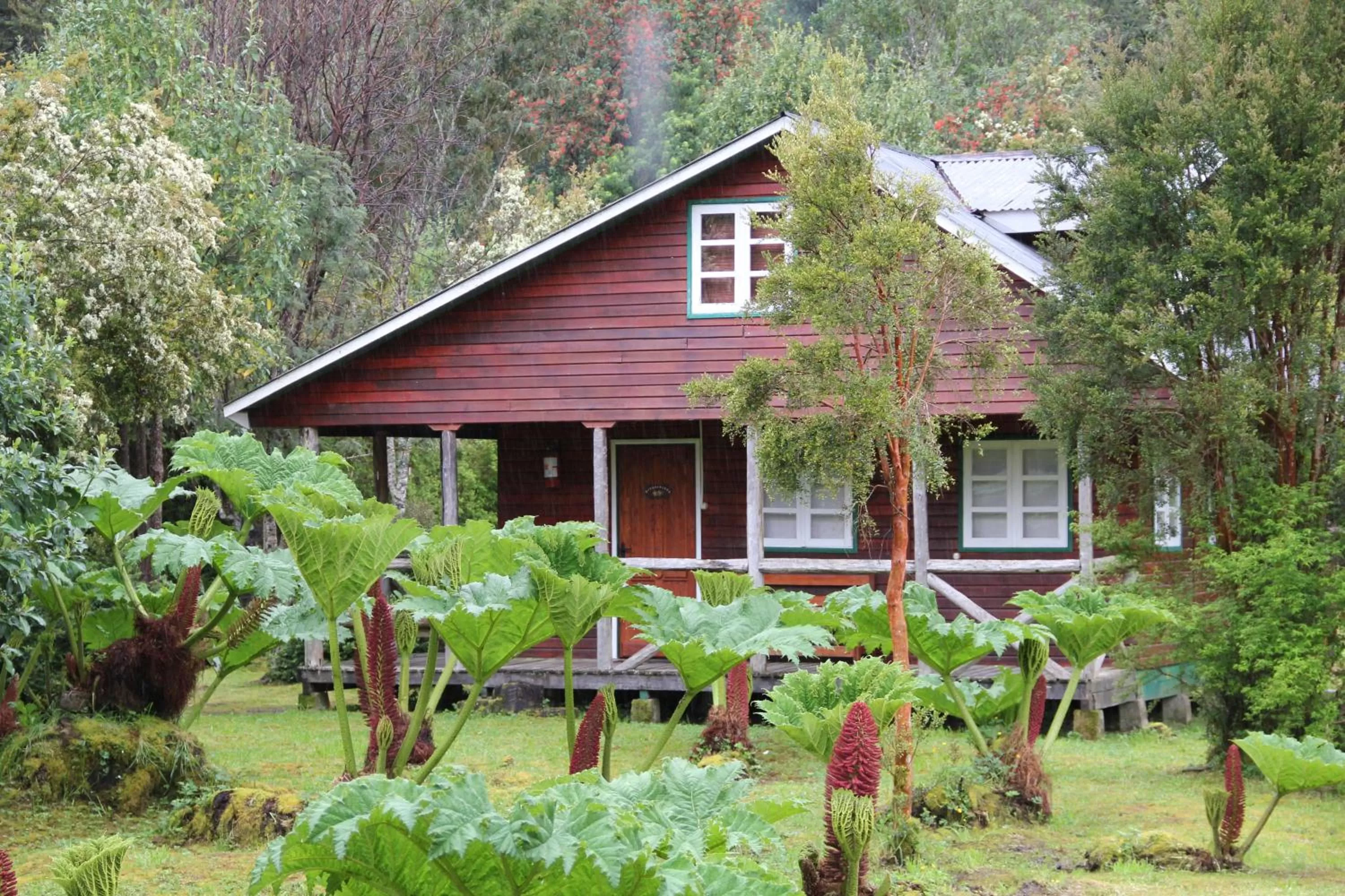 Property Building in Posada Queulat