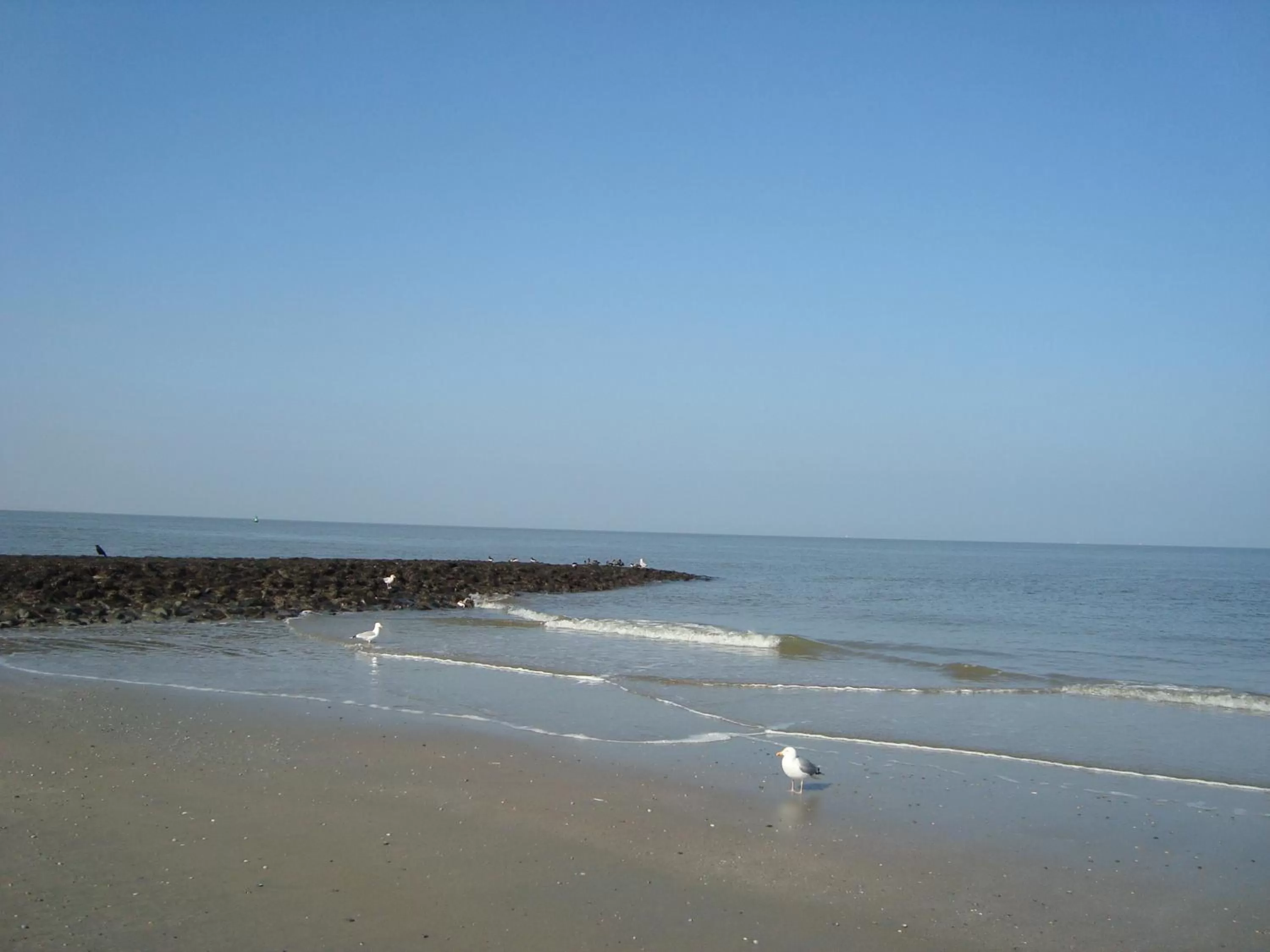 Beach in Leezdorfer Hof