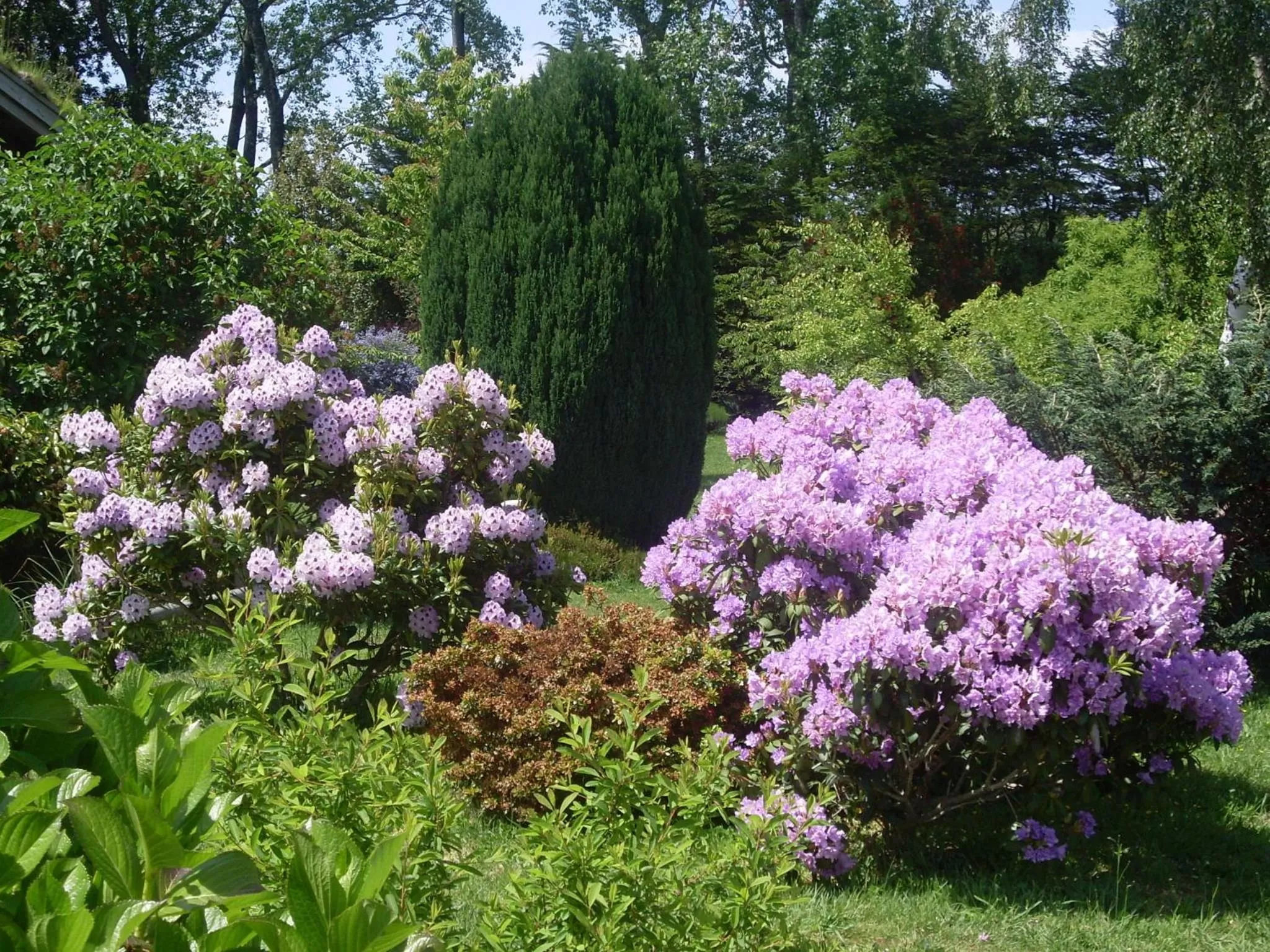 Garden in Hostal Zapato Amarillo