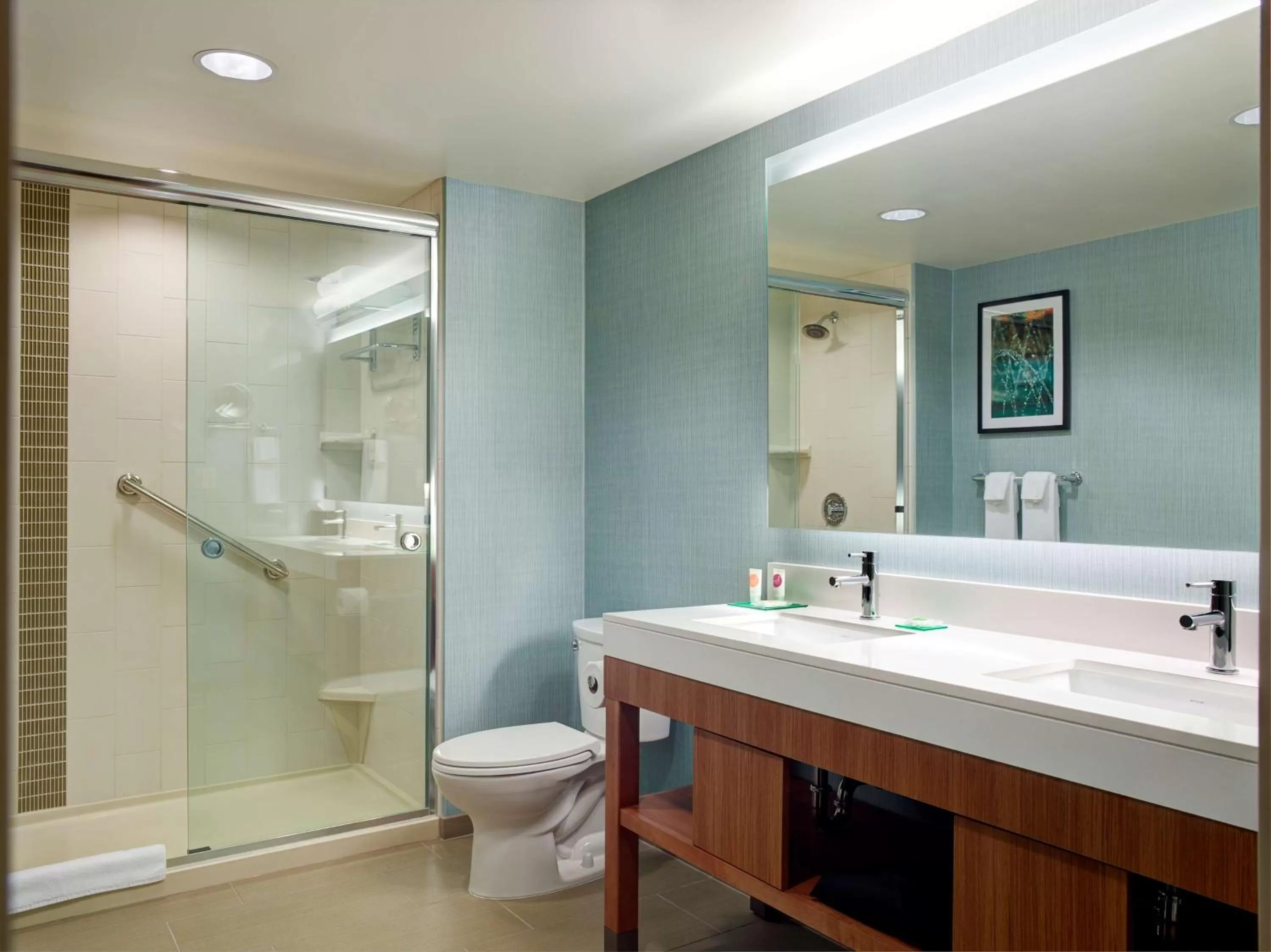 Bathroom in Hyatt Place Arlington Courthouse