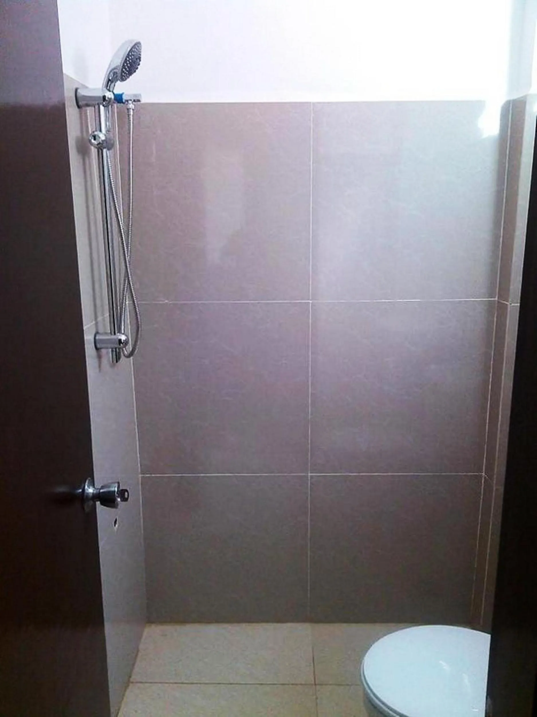 Shower in Ashok Homestay
