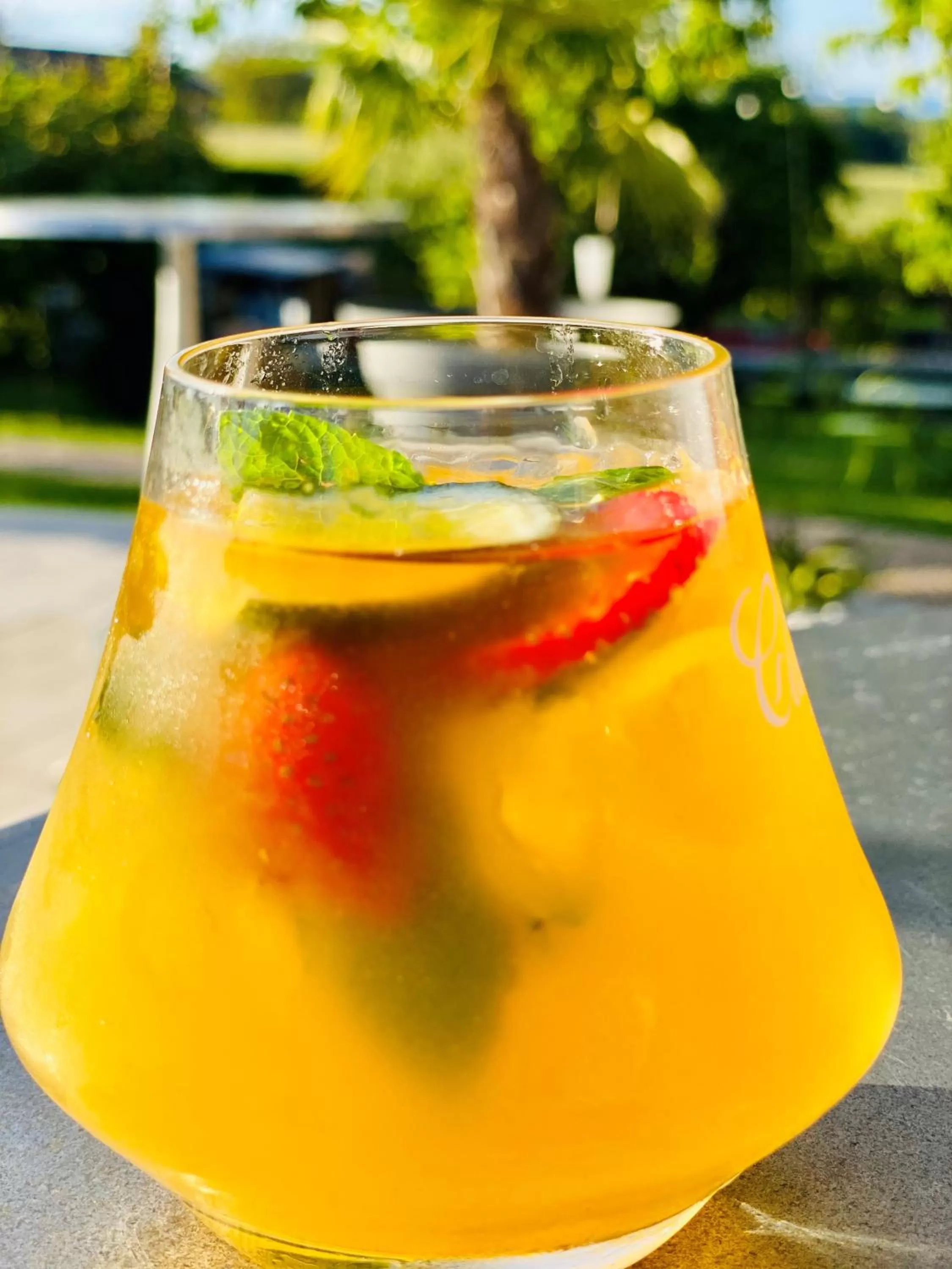 Alcoholic drinks in Domaine de Suzel