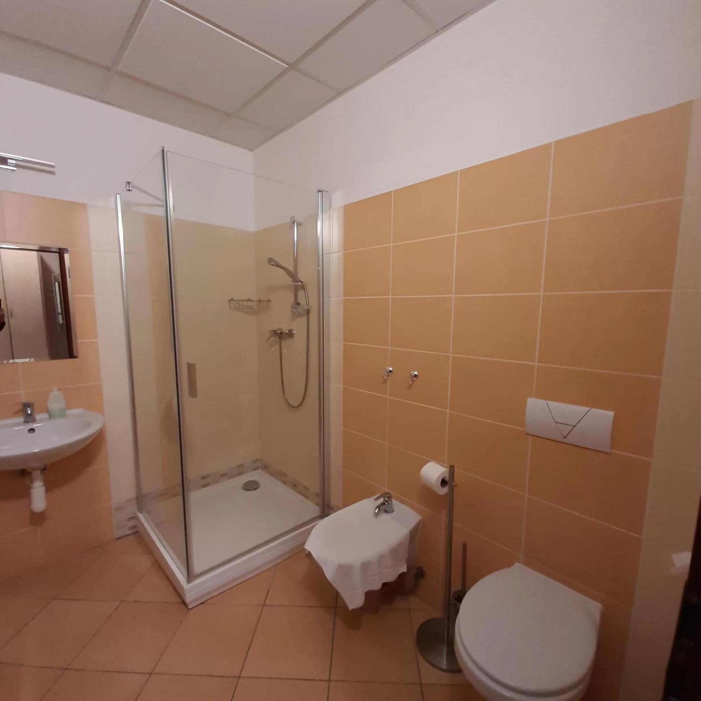 Shower, Bathroom in garni Hotel S.O.G.* * *