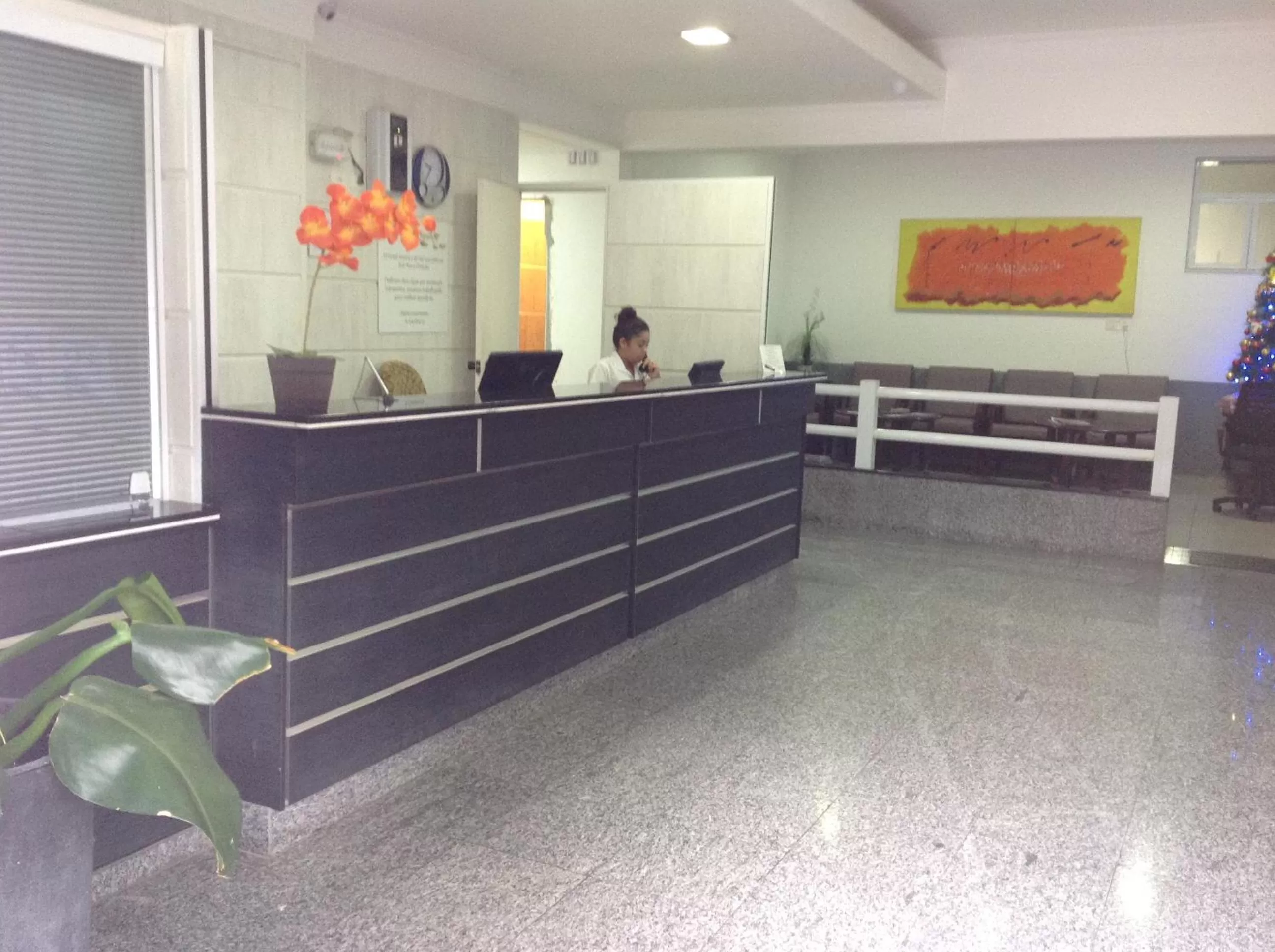 Lobby or reception in Hotel America do Sul