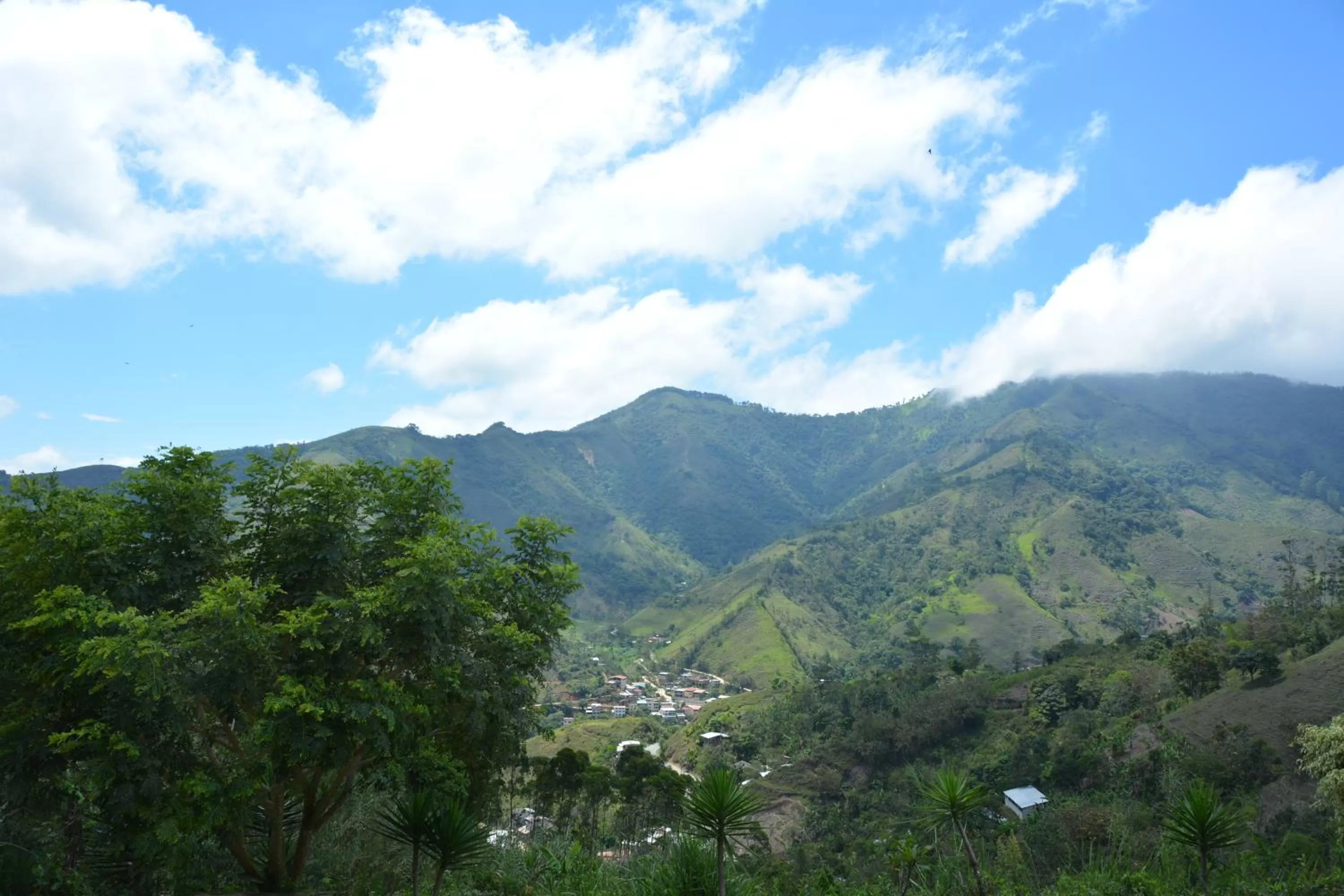 City view in Hosteria Florecer