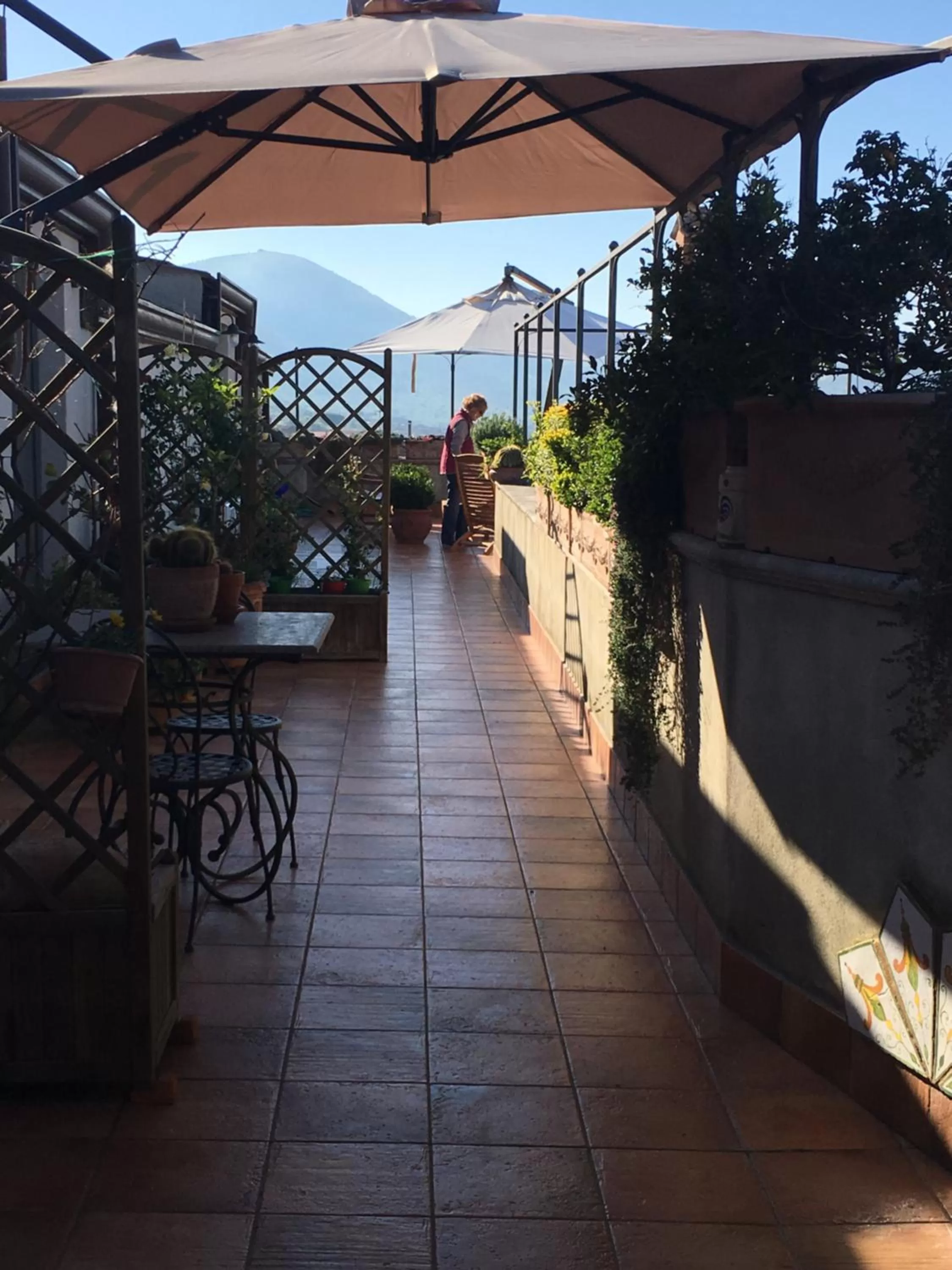 Activities in B&B MontAlbano