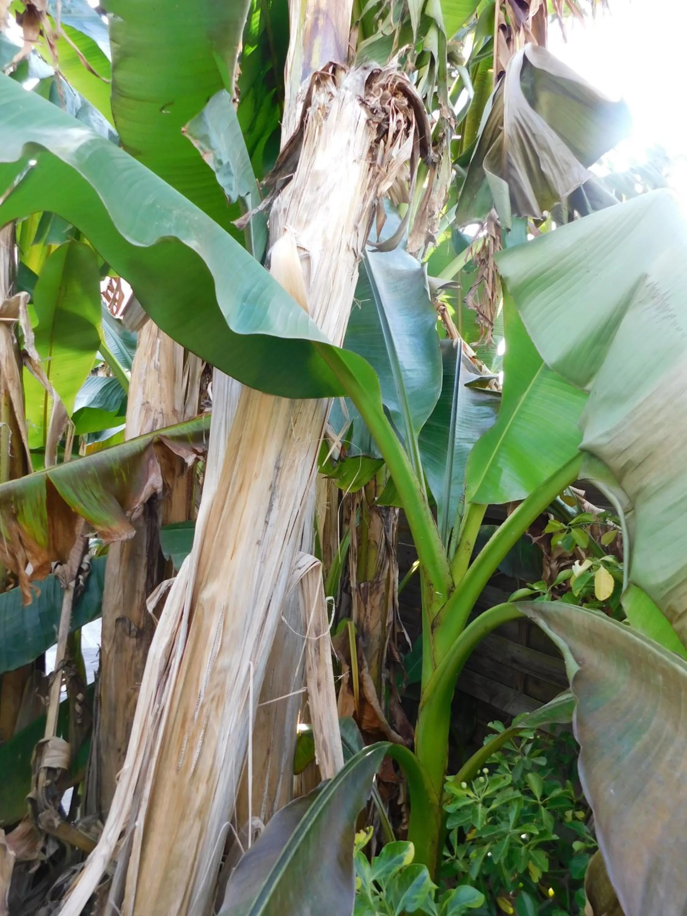 Balcony/Terrace in Brit Hotel du Commerce Bergerac