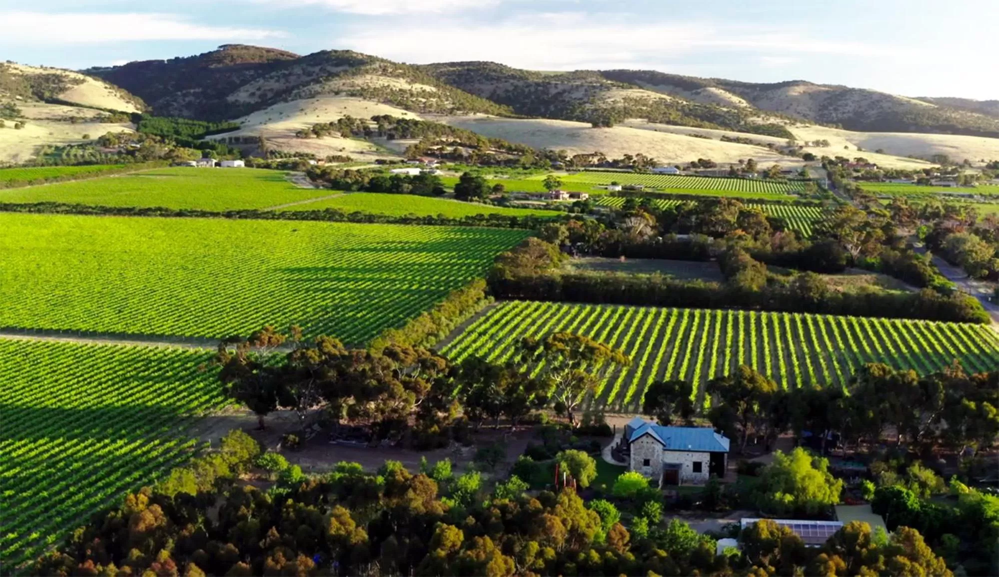 Natural landscape in The Old Chaff Mill Organic Vineyard Retreat