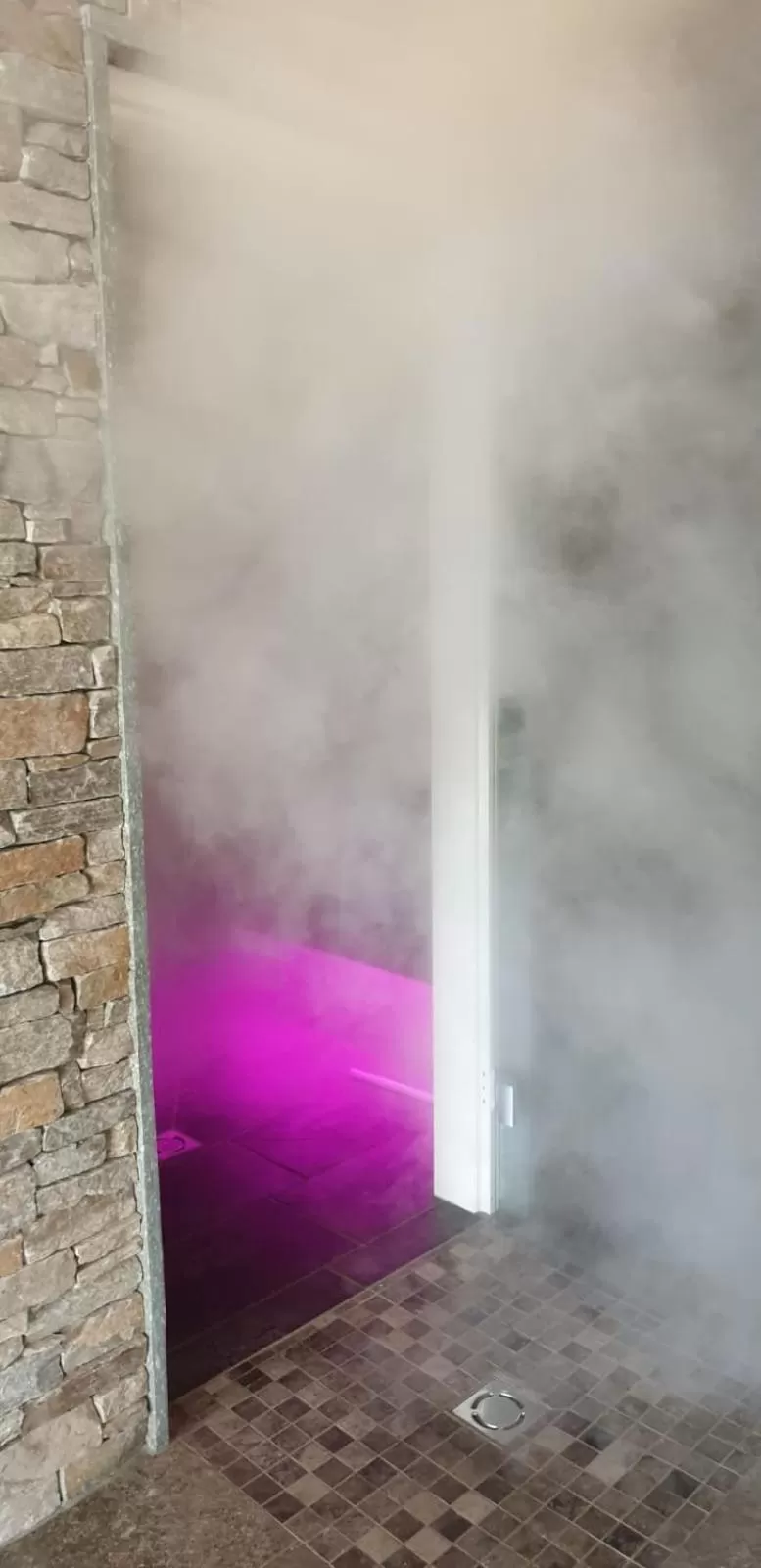 Sauna in Hotel Giessenbach