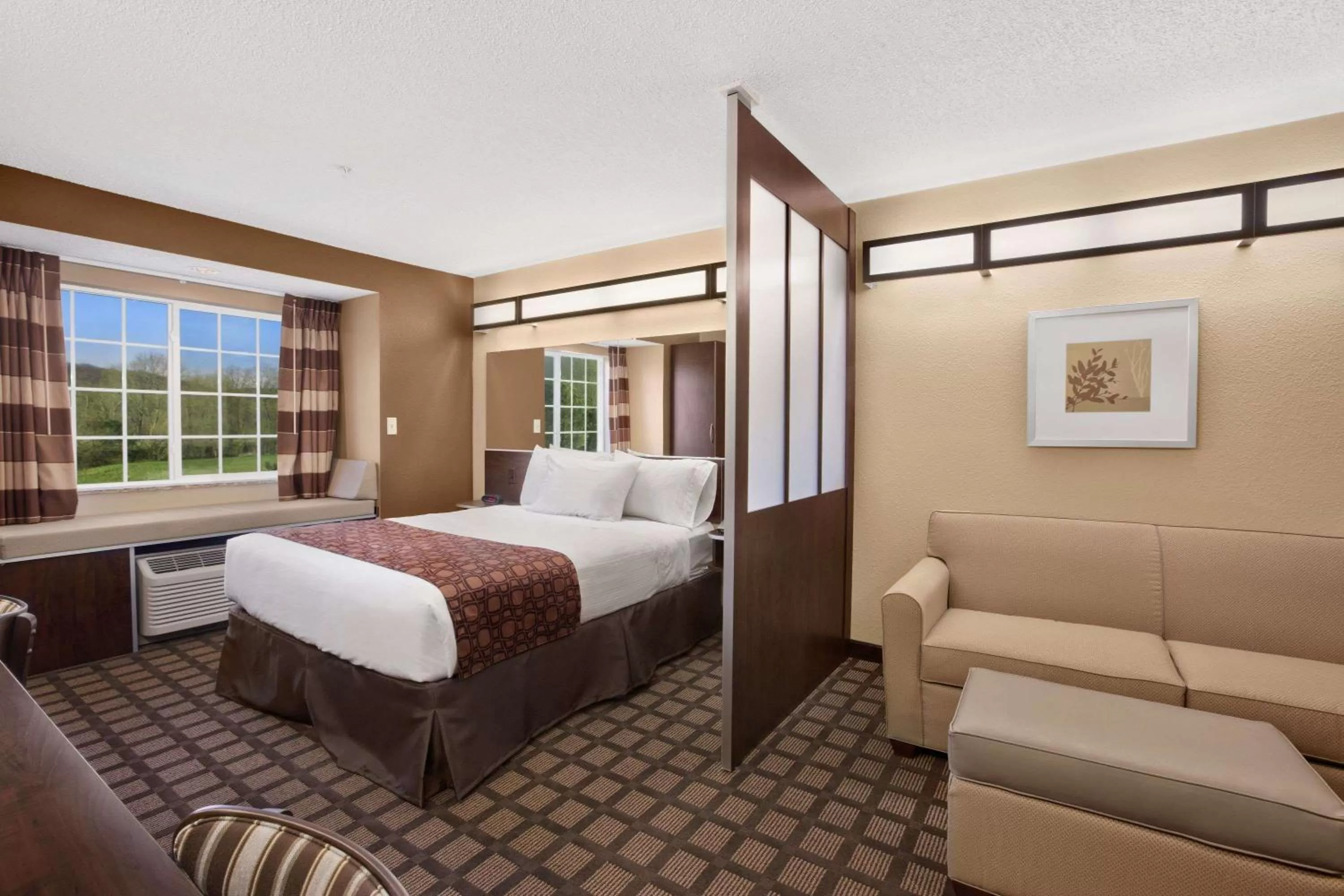 Queen Studio Suite - Disability Access/Non-Smoking  in Microtel Inn & Suites-Sayre, PA