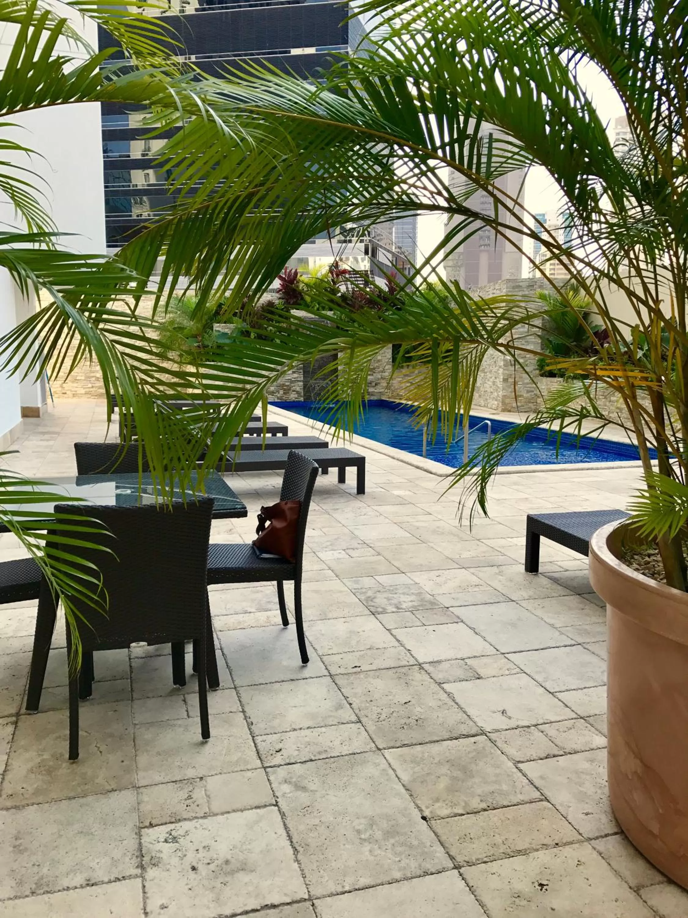 Swimming pool in The Executive Hotel