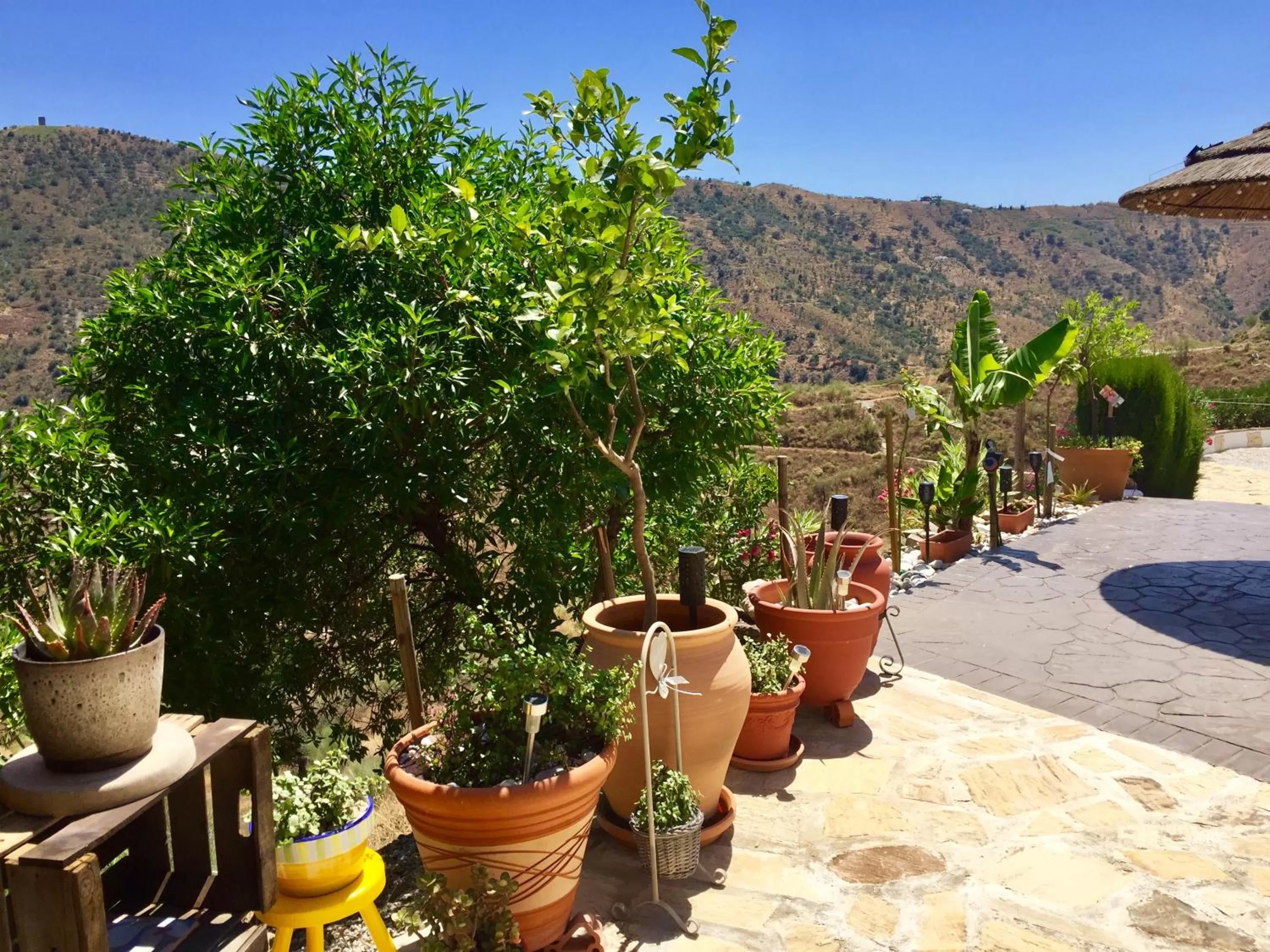 Casira, studios en kamers,Viñuela, Costa Del Sol