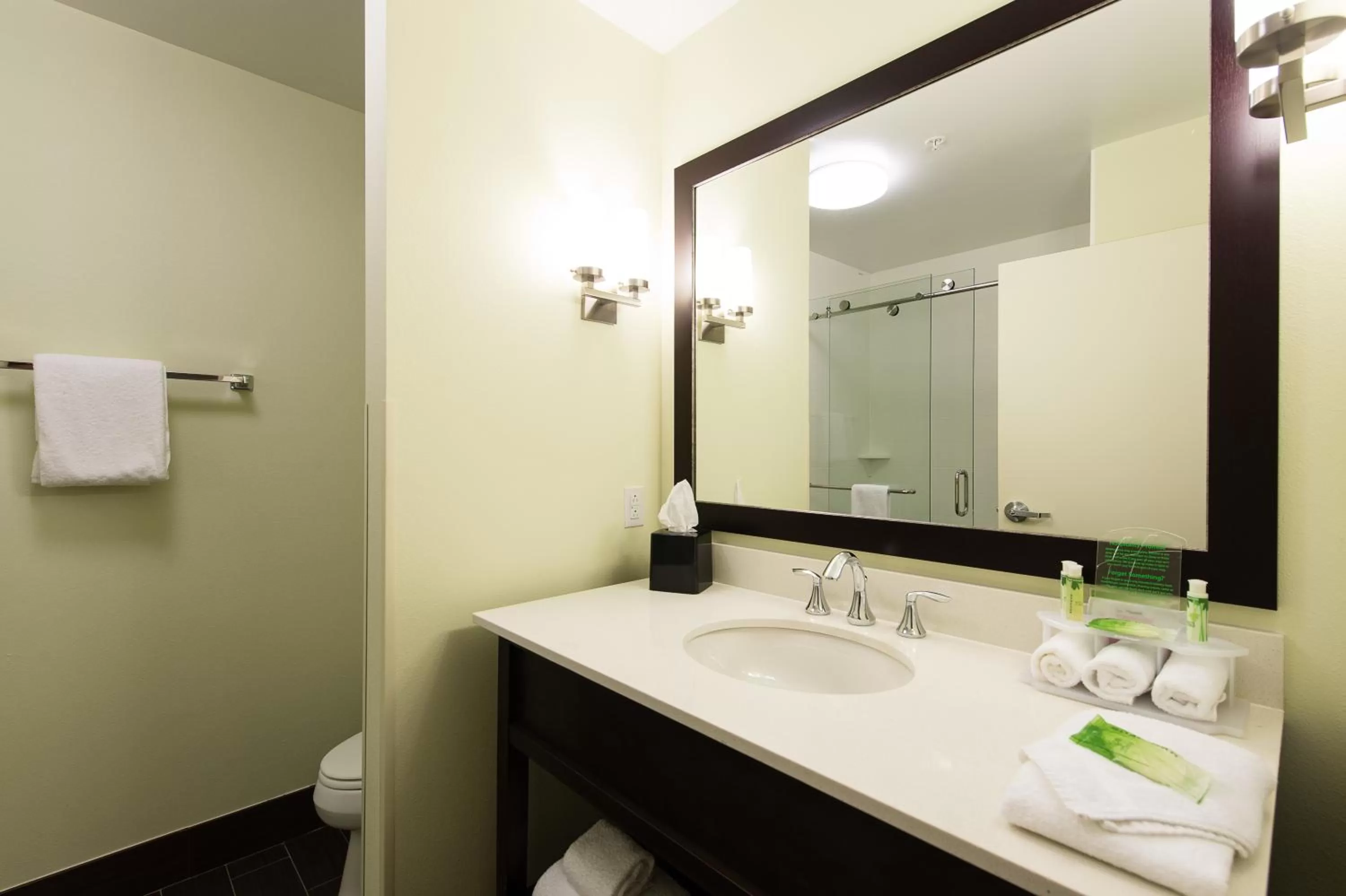 King Suite in Holiday Inn Express & Suites Aiken, an IHG Hotel