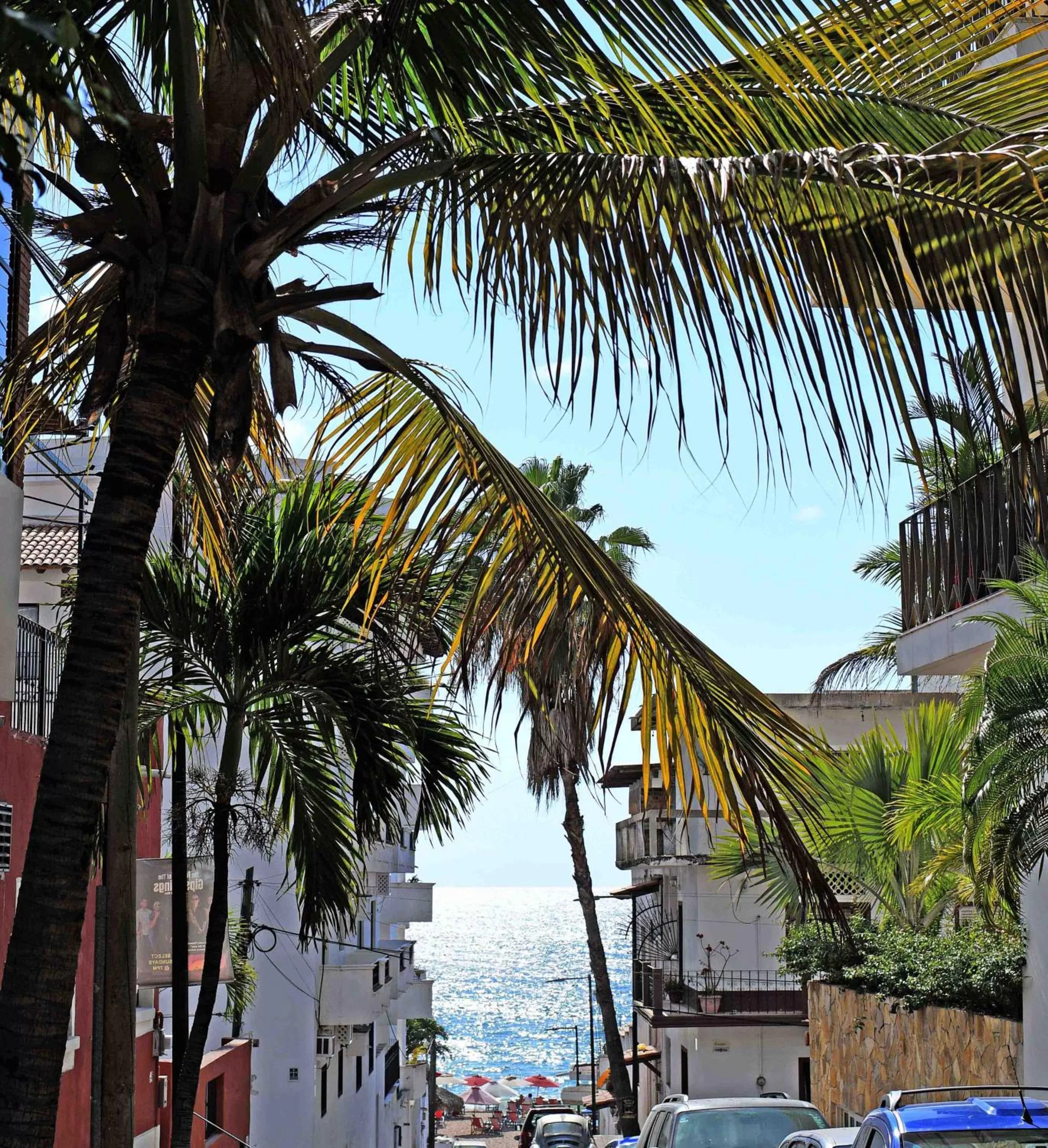 Spring in Petit Hotel Pilitas