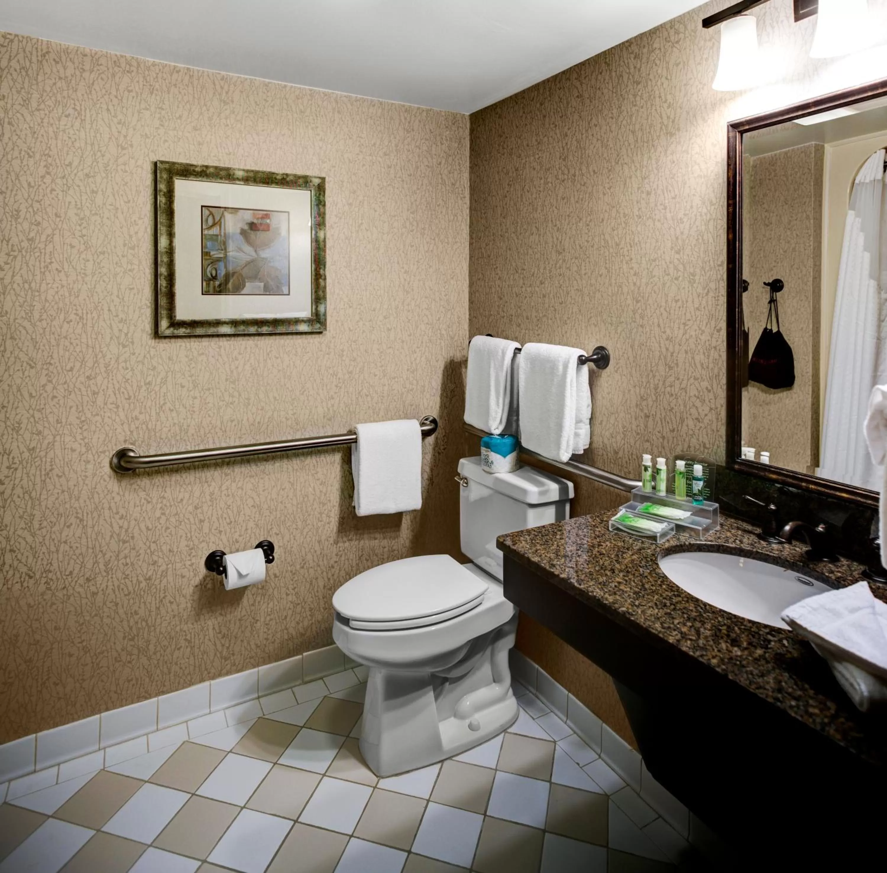 Bathroom in Holiday Inn Express Hotel & Suites Atlanta Buckhead by IHG