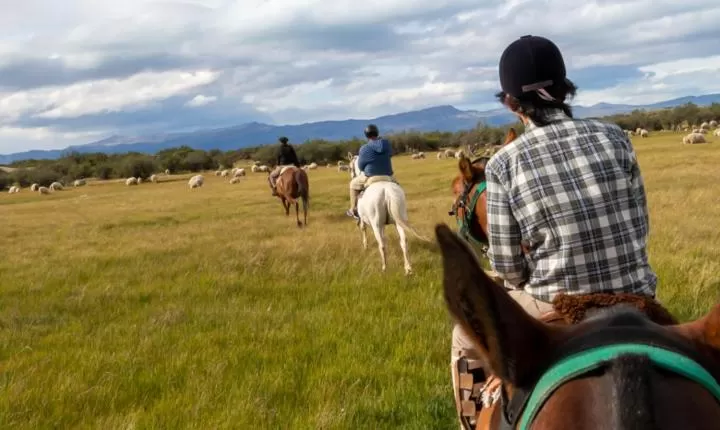 Hostería El Galpón Del Glaciar